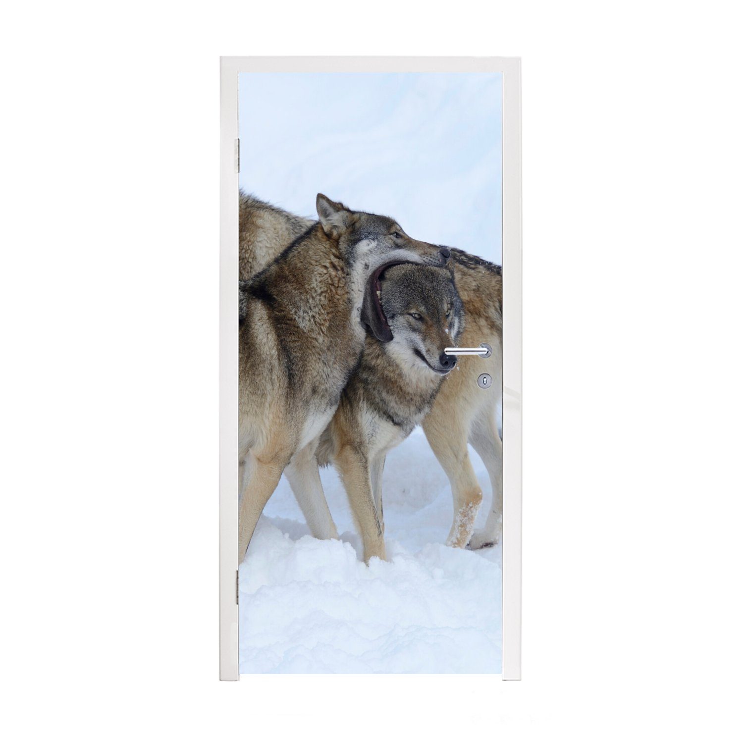 MuchoWow Türtapete Wolf - Europa - Schnee, Matt, bedruckt, (1 St), Fototapete für Tür, Türaufkleber, 75x205 cm