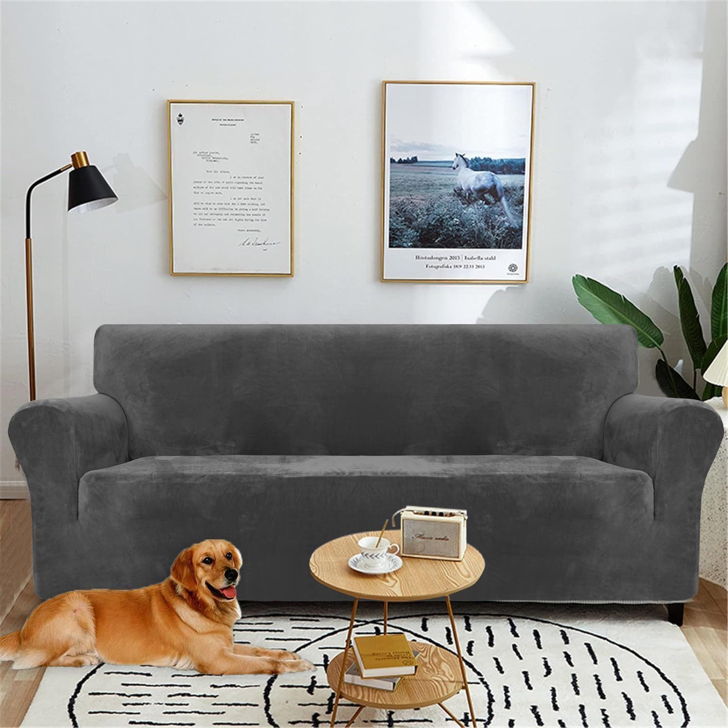 Diwzbyn Sofahusse Velvet Sofabezüge 1/2/3/4-Sitzer Stretch rutschfeste Couchbezug, für Hunde Katze Haustierfreundlich – Bild 2 von 5