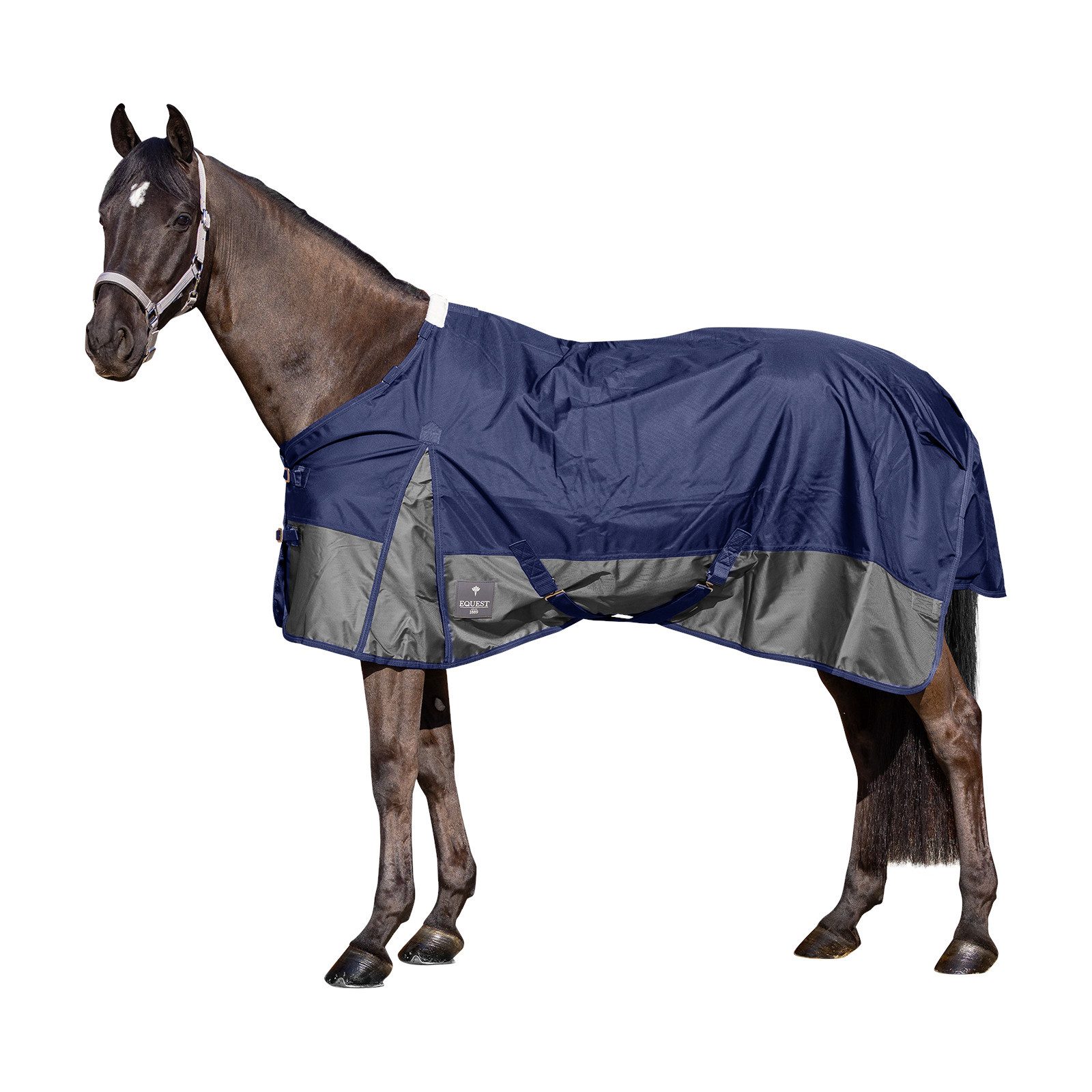Paddockdecke Outdoordecke Titan für Pferde, 1680D 50g, abnehmbares Halsteil, Nav...