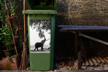 MuchoWow Wandsticker Elefant - Baum - Tiere - Schwarz und weiß (1 St), Mülleimer-aufkleber, Mülltonne, Sticker, Container, Abfalbehälter