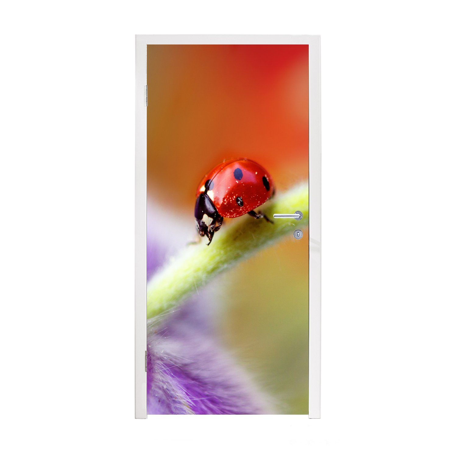 MuchoWow Türtapete Marienkäfer auf einer lila Blume, Matt, bedruckt, (1 St), Fototapete für Tür, Türaufkleber, 75x205 cm