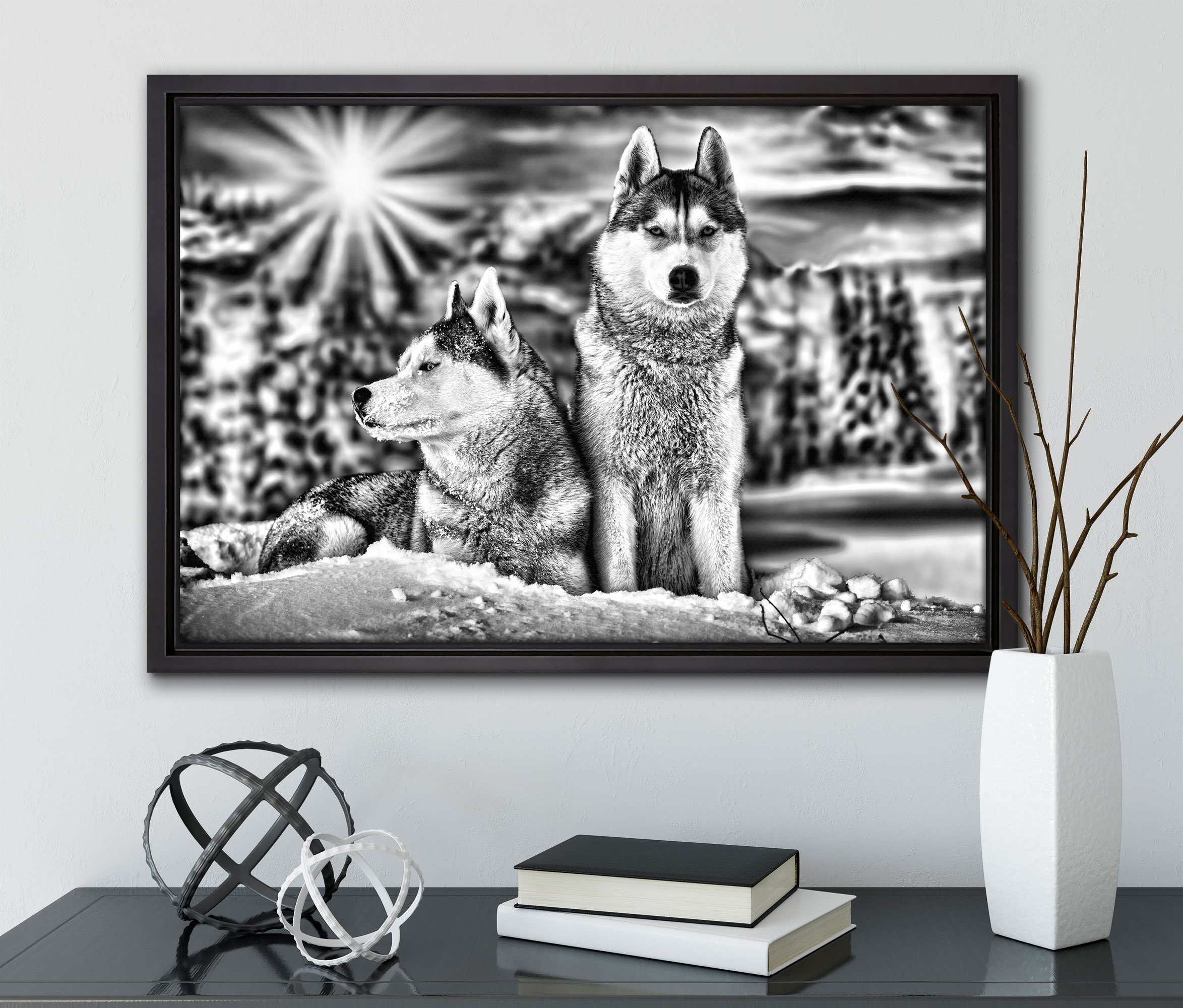fertig wilde Leinwandbild bespannt, Schattenfugen-Bilderrahmen Huskies, St), Zwei gefasst, (1 Pixxprint Wanddekoration Leinwandbild in einem Zackenaufhänger inkl.