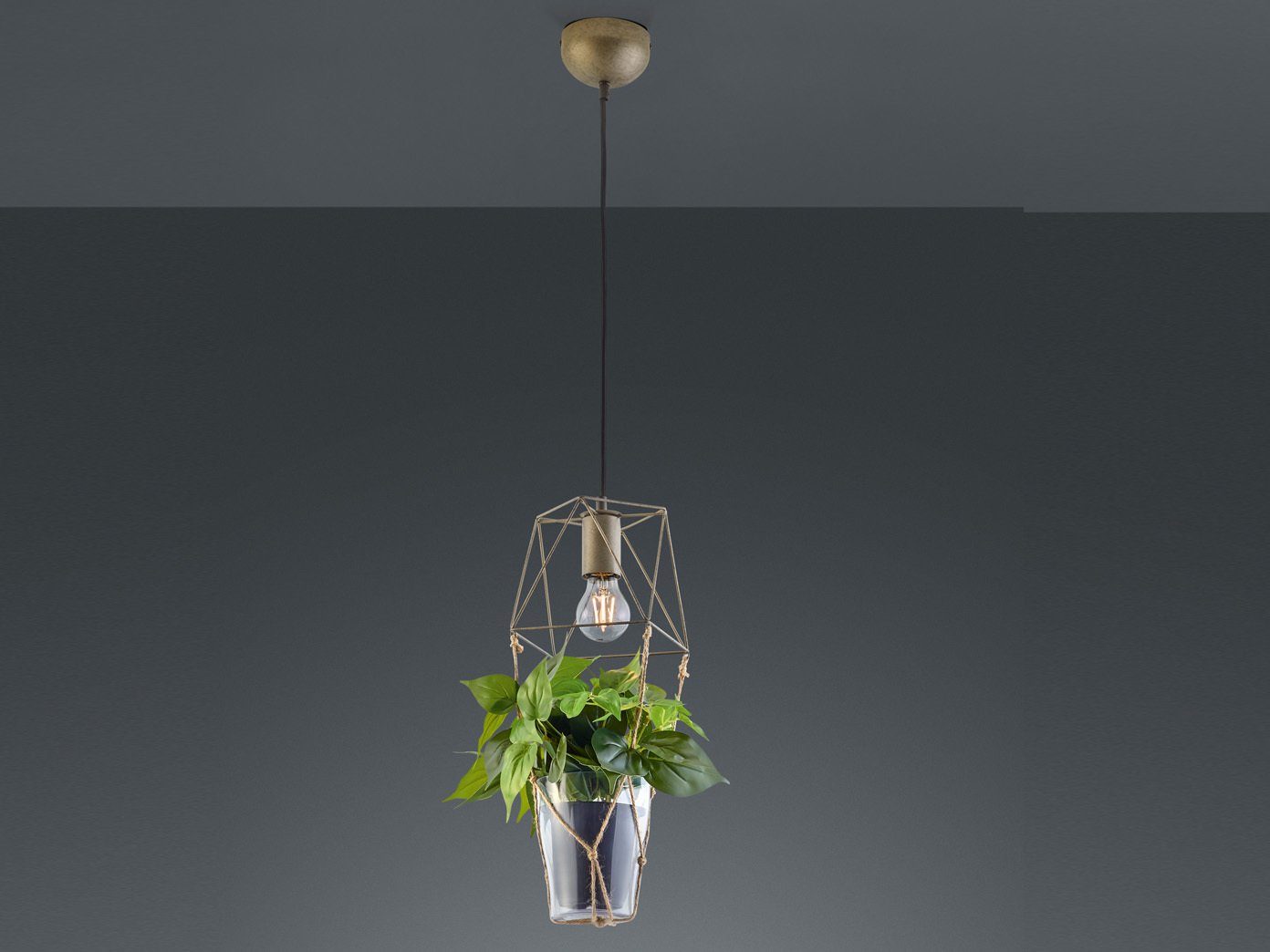 meineWunschleuchte LED Pendelleuchte, Einflammig, Draht-Lampe  höhenverstellbar mit Blumentopf, mit Gitter-Schirmen, Sisal-Seillampe  online kaufen | OTTO