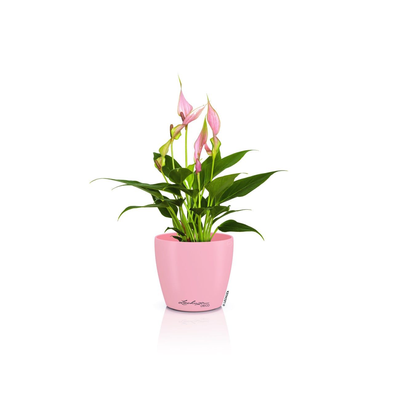 Lechuza® Blumentopf Lechuza Pflanztopf Deco 10 Ø 11,1 x 10 cm magnolie