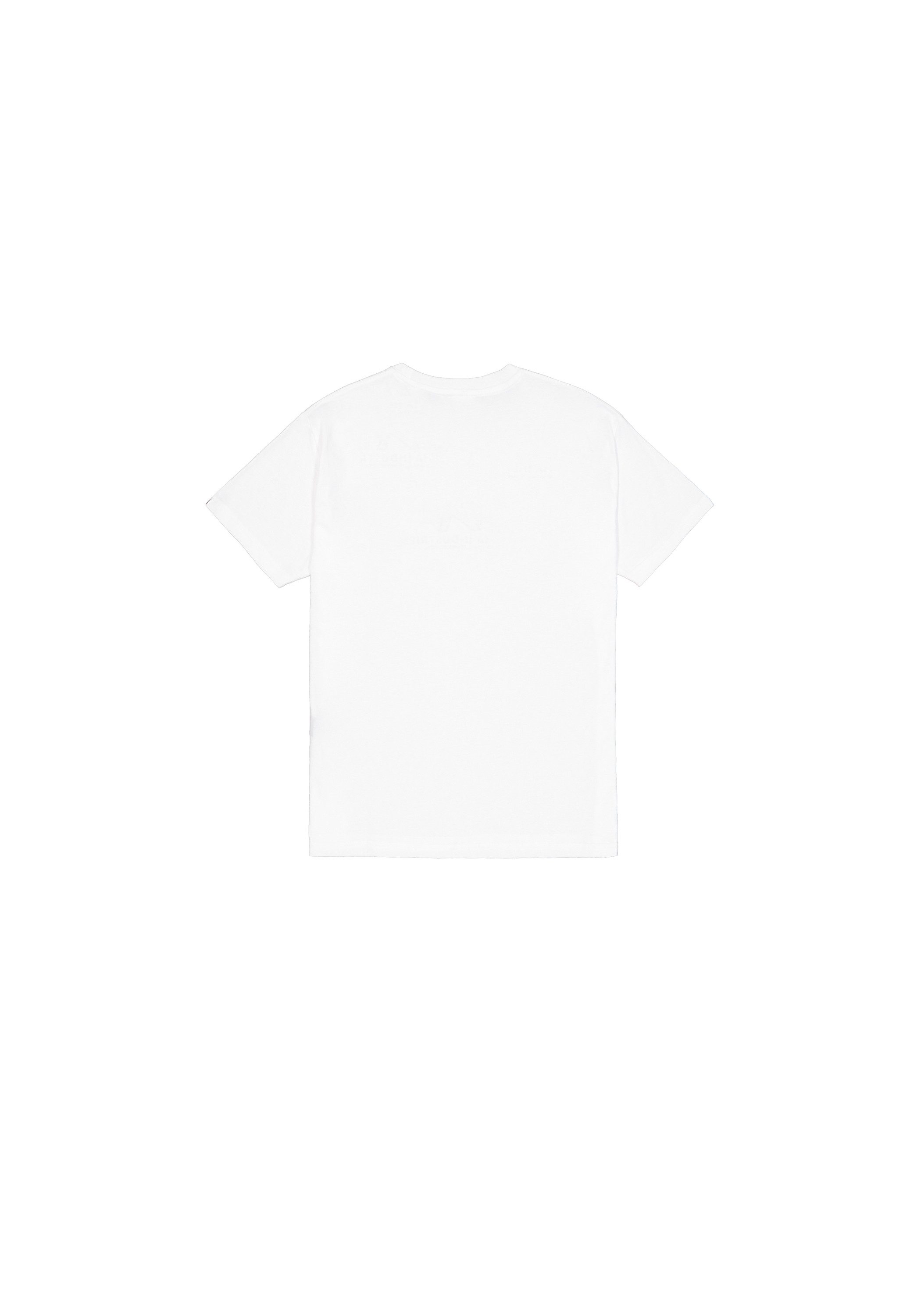 Alpha Industries T-Shirt NASA Refl. T Metal günstig online kaufen