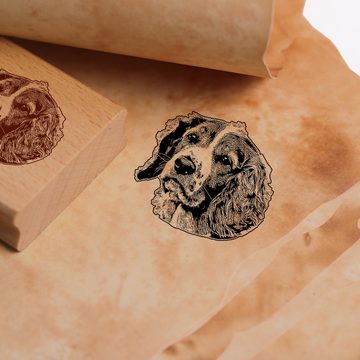 Dekolando Stempel Motivstempel Welsh Springer Spaniel Stempel Hund Holzstempel 48 x 45