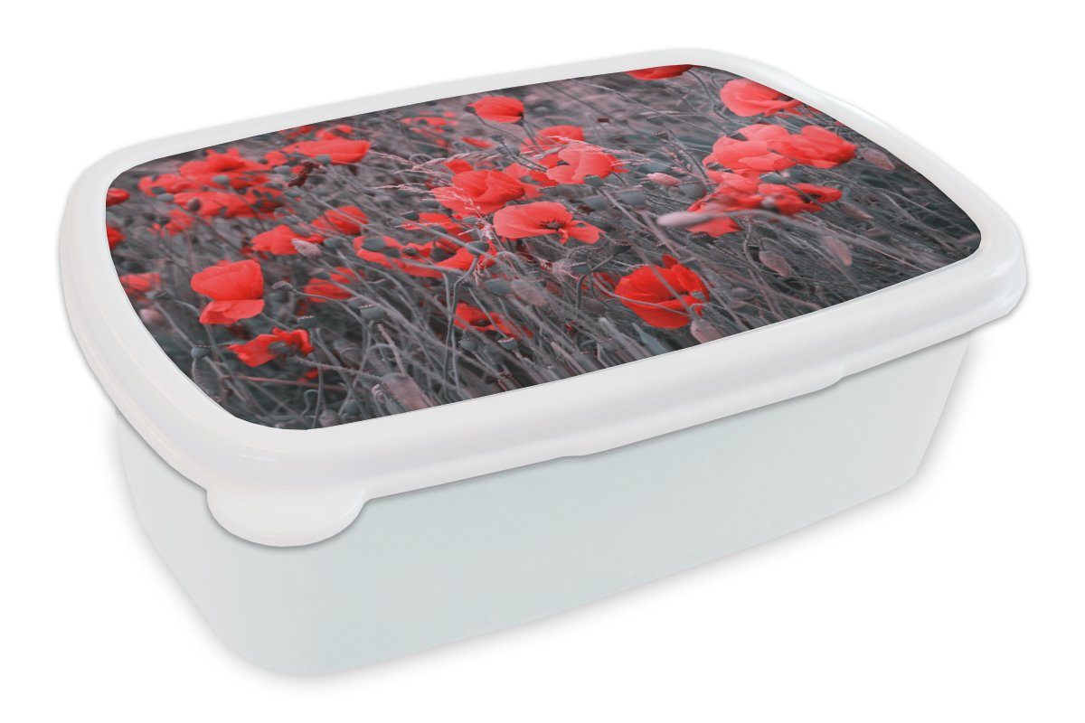 MuchoWow Lunchbox Rote Mohnblumen in einem Schwarz-Weiß-Bild, Kunststoff, (2-tlg), Brotbox für Kinder und Erwachsene, Brotdose, für Jungs und Mädchen