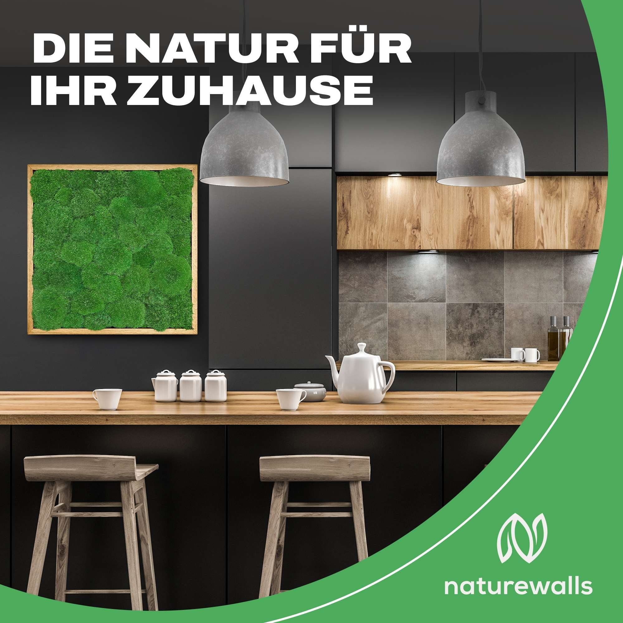 naturewalls Bild Moosbild Kugelmoos - Pflanzenbild günstig online kaufen