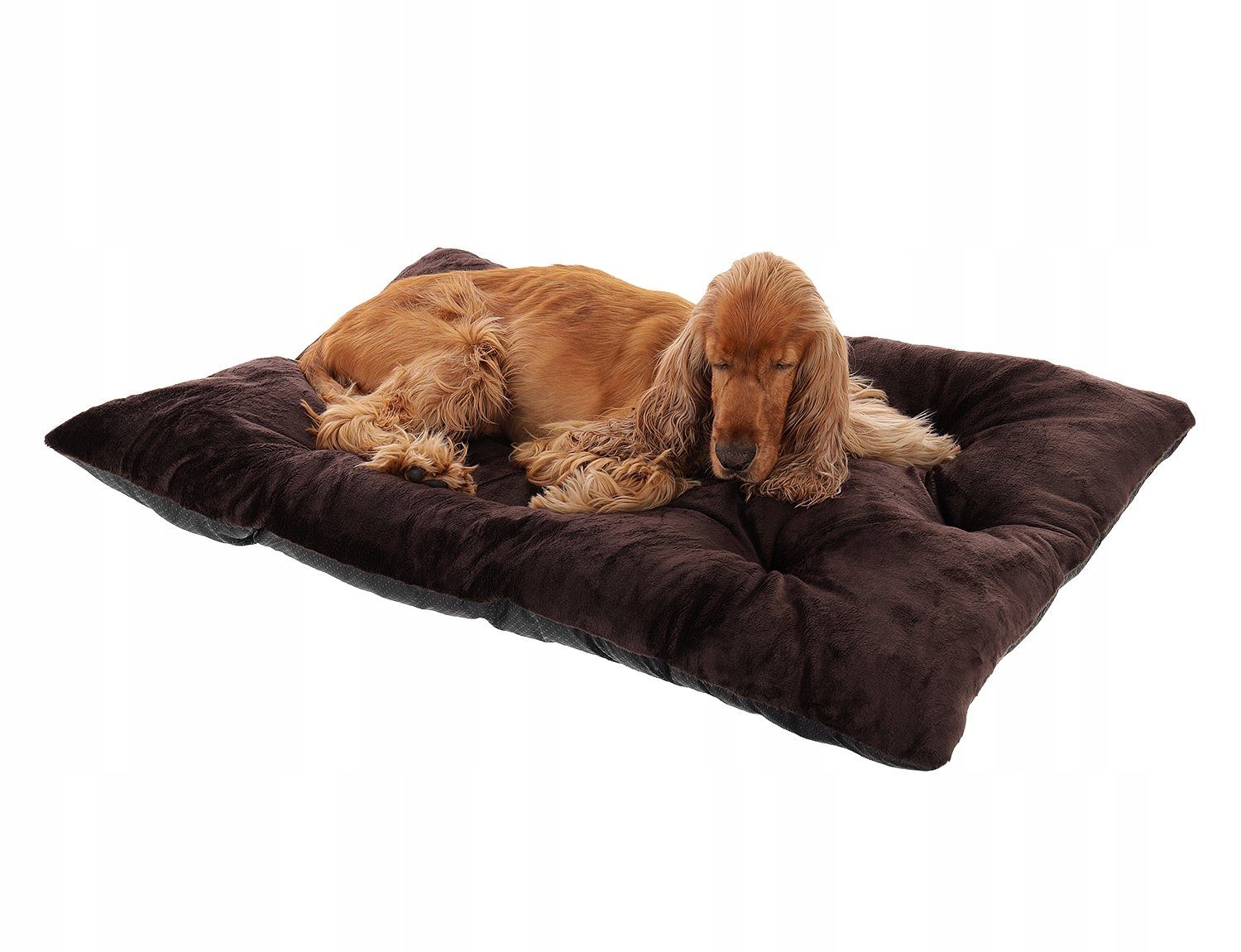 Pamek Hundekorb Tierbett, Hundebett, Katzenbett waschbar günstig online kaufen