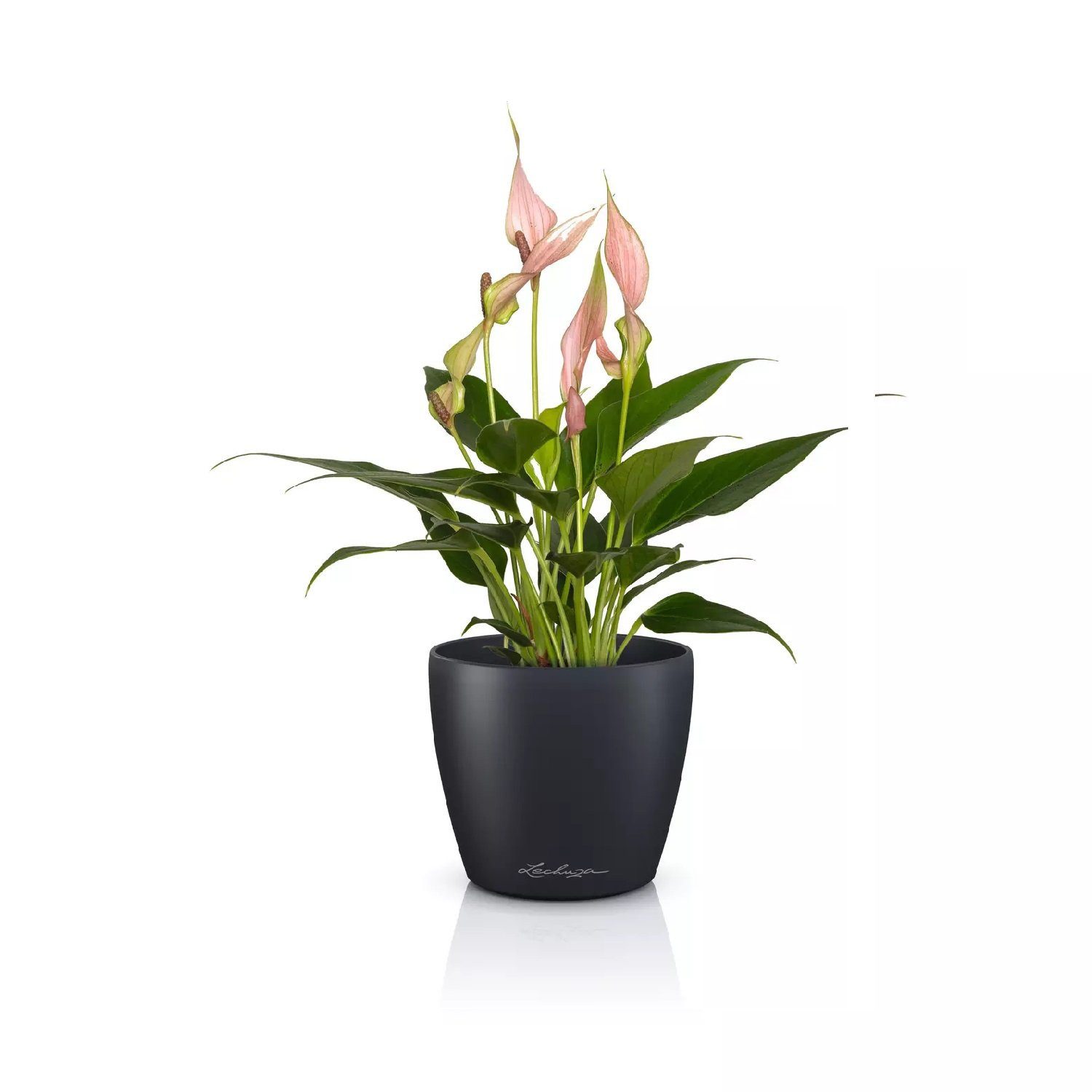 Lechuza® Übertopf Classico Color 10 DECO schiefergrau