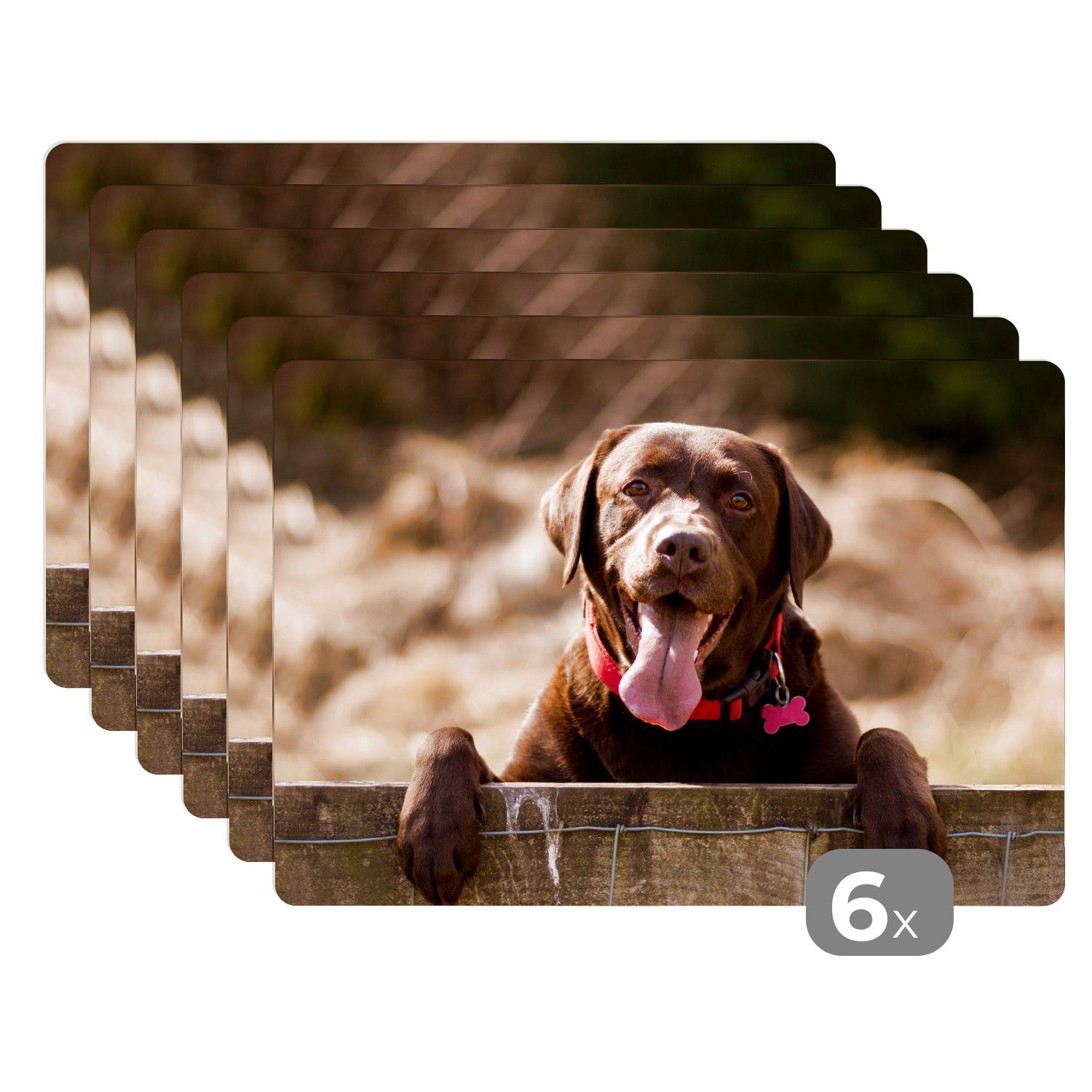 Platzset, Labrador Retriever schaut über einen Zaun, MuchoWow, (6-St), Platzset, Platzdecken, Platzmatte, Tischmatten, Schmutzabweisend