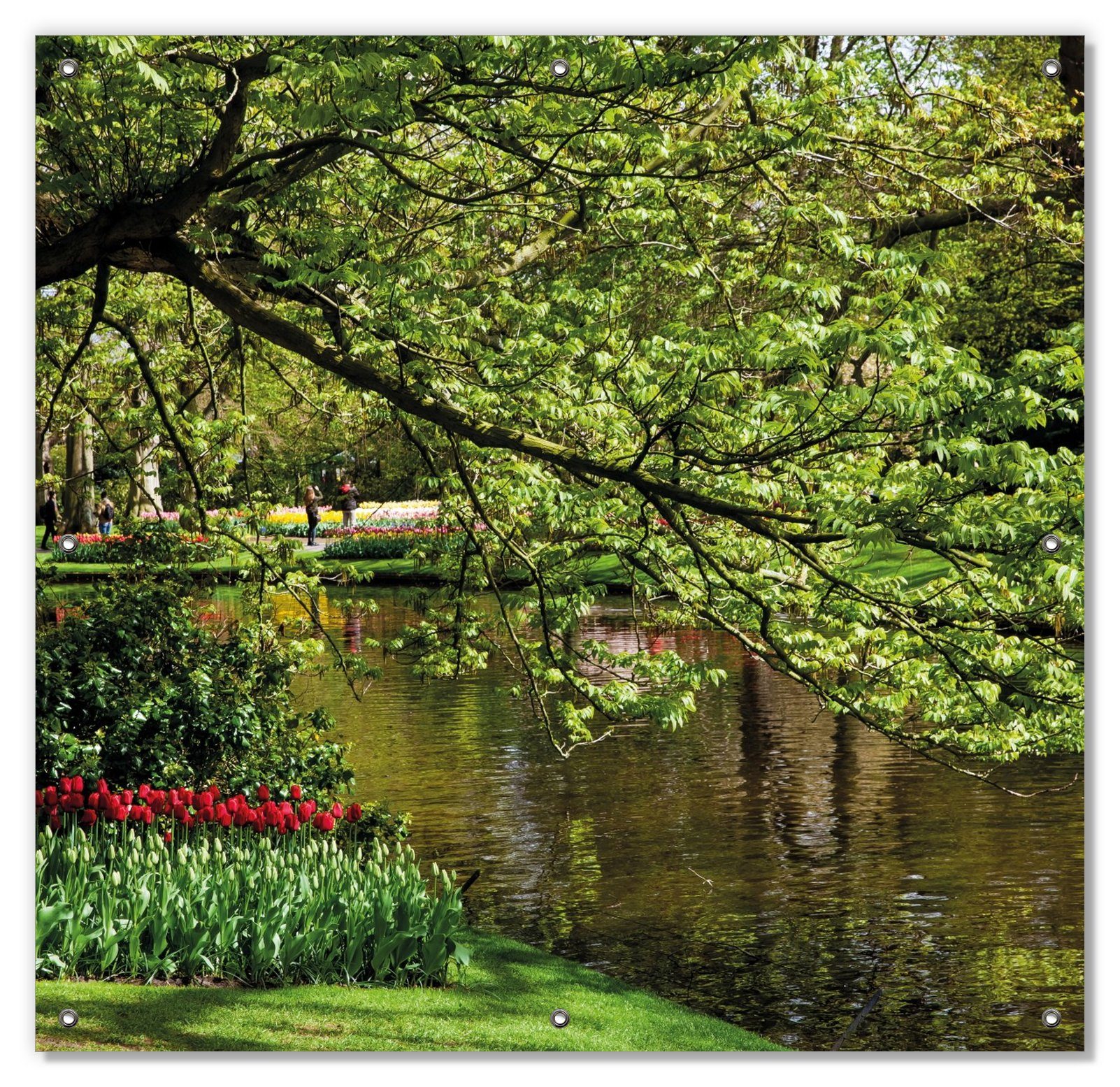 Sonnenschutz Bunte Blumen im Park am Wasser - Frühblüher am Ufer, Wallario, blickdicht, mit Saugnäpfen, wiederablösbar und wiederverwendbar