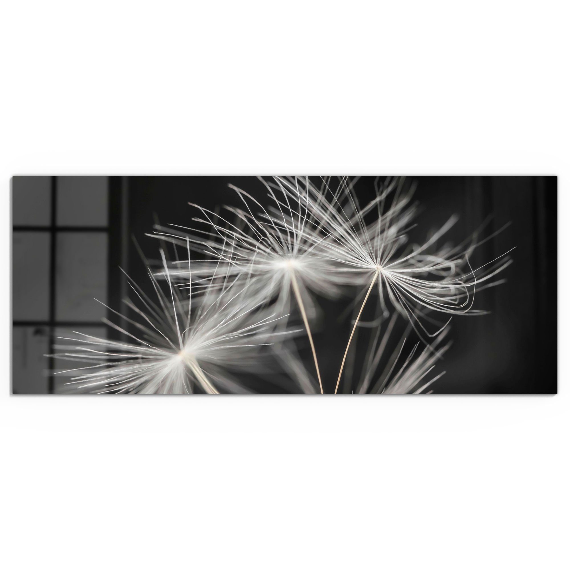 DEQORI Glasbild 'Samen der Pusteblume', 'Samen günstig online kaufen