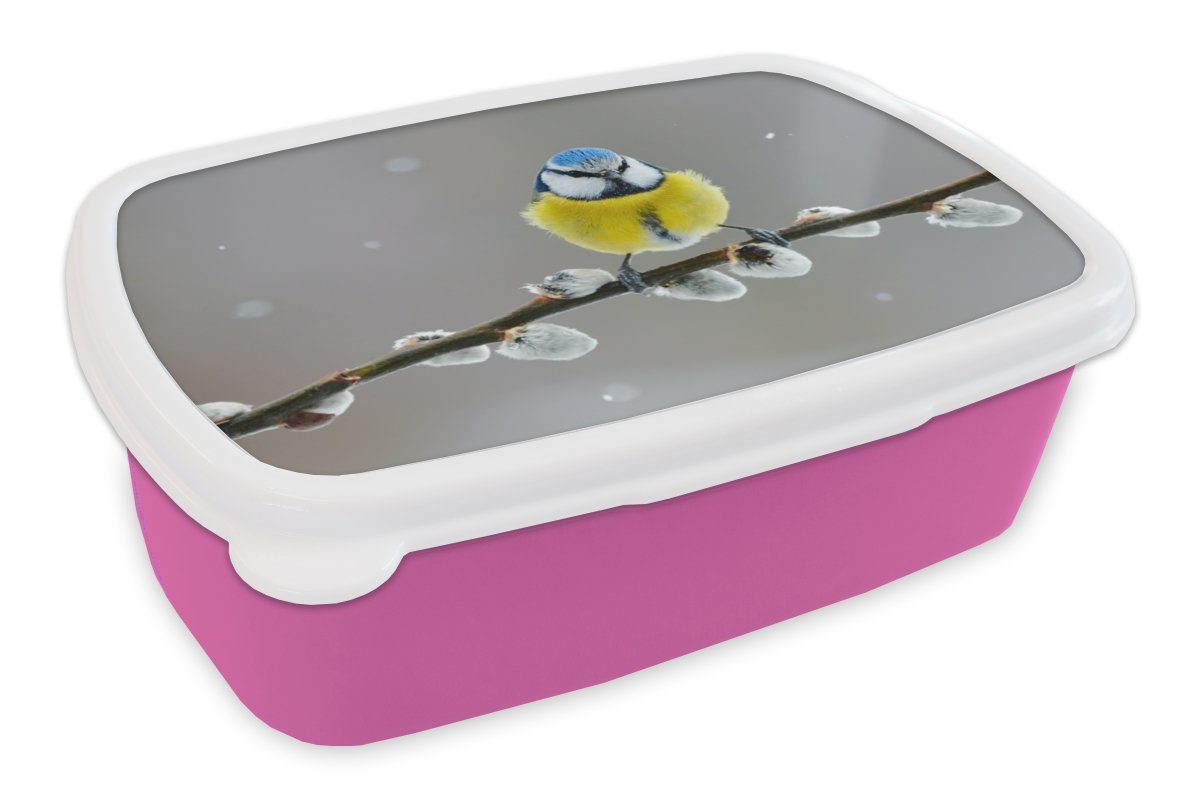 Brotbox Blaumeise rosa (2-tlg), Gelb - Erwachsene, Lunchbox Brotdose für Kinder, - Snackbox, Kunststoff, MuchoWow Mädchen, Zweig Blau, Kunststoff - - Vogel