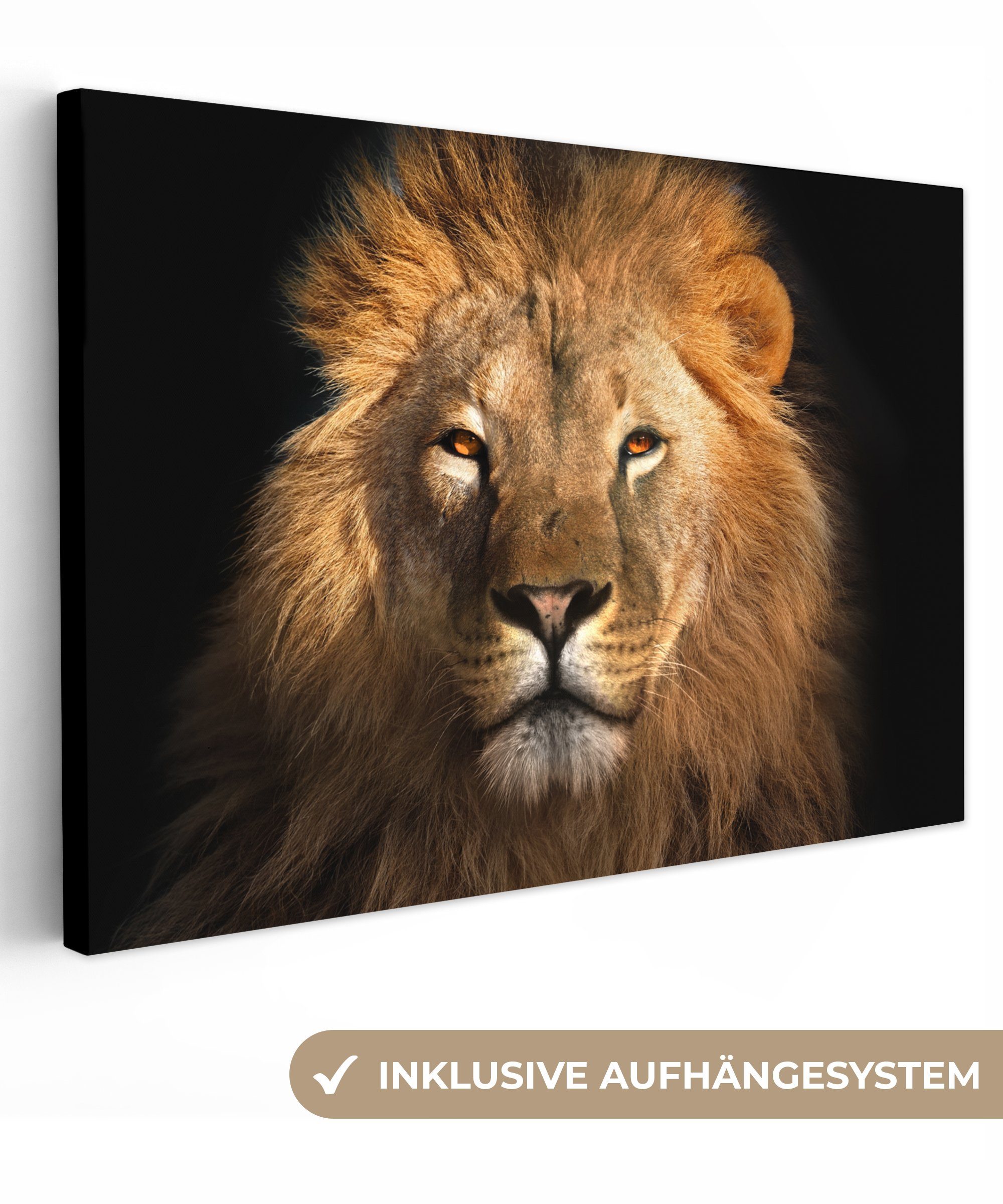 OneMillionCanvasses® Leinwandbild Löwe - Tiere - günstig online kaufen