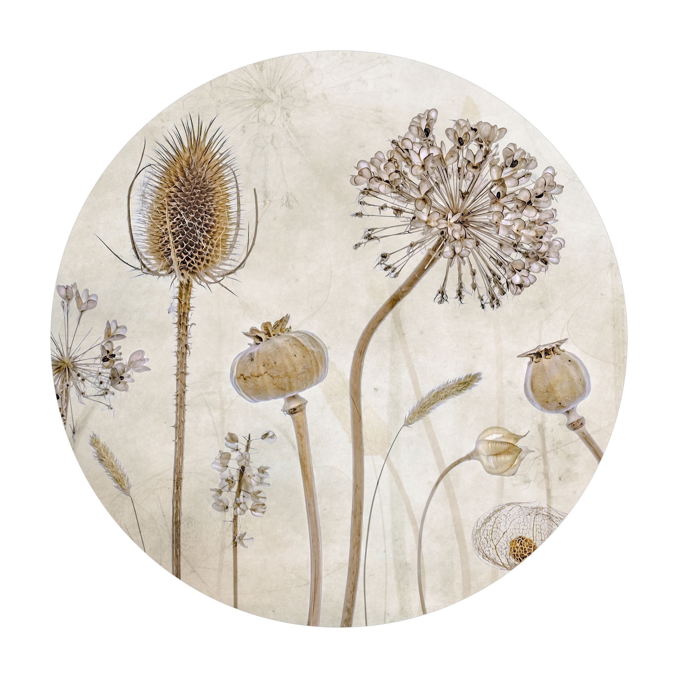 Bilderdepot24 Teppich Vinyl Wohnzimmer Schlafzimmer Flur Küche Vintage mode günstig online kaufen