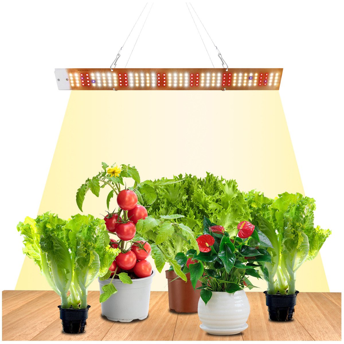 Laybasic Pflanzenlampe Vollspektrum Pflanzenlampe,156/312/468/624 LEDs