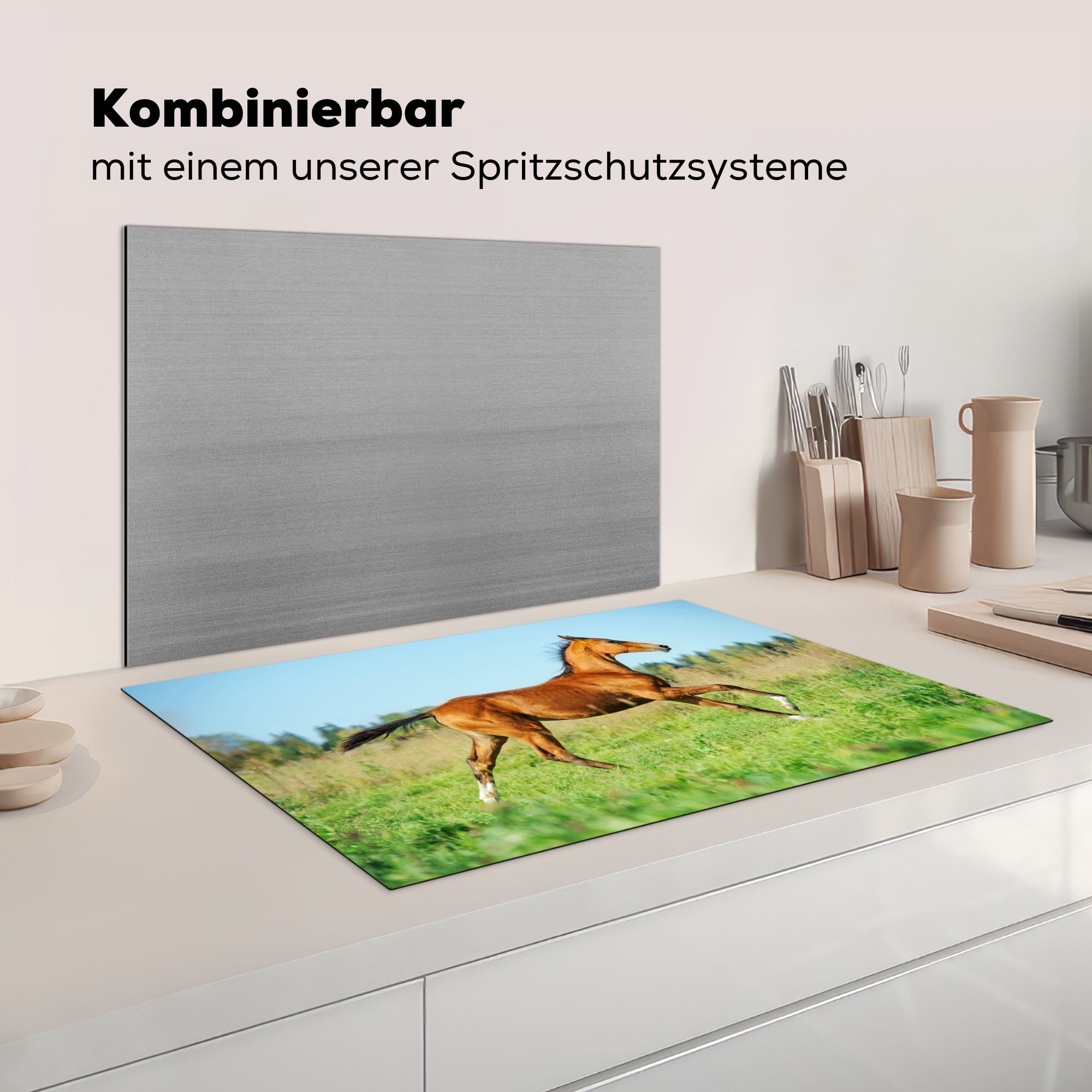 cm, Induktionskochfeld Ceranfeldabdeckung küche, (1 Braun, 81x52 für die - Schutz Vinyl, MuchoWow Herdblende-/Abdeckplatte - tlg), Gras Pferd