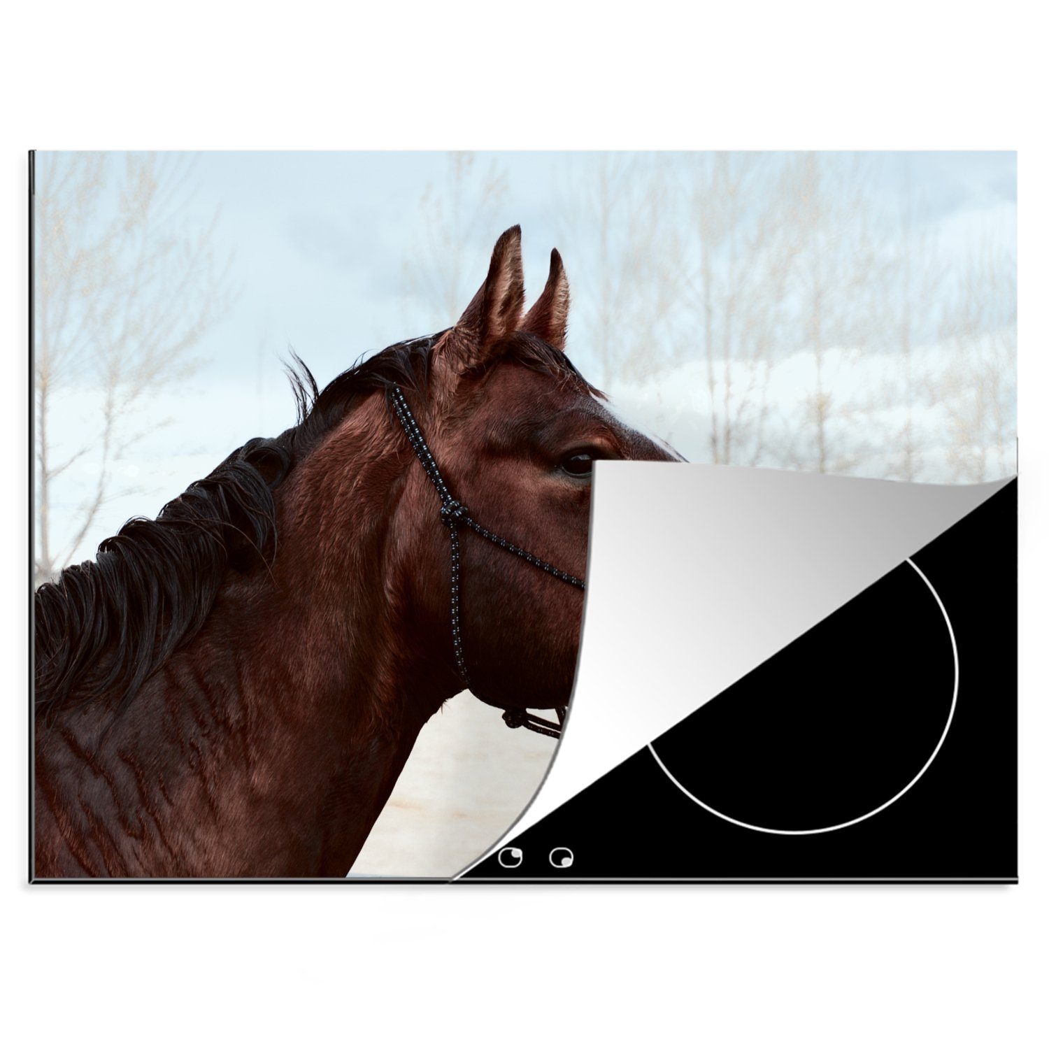 MuchoWow Herdblende-/Abdeckplatte Pferde - Tiere - Halfter, Vinyl, (1 tlg), 70x52 cm, Mobile Arbeitsfläche nutzbar, Ceranfeldabdeckung