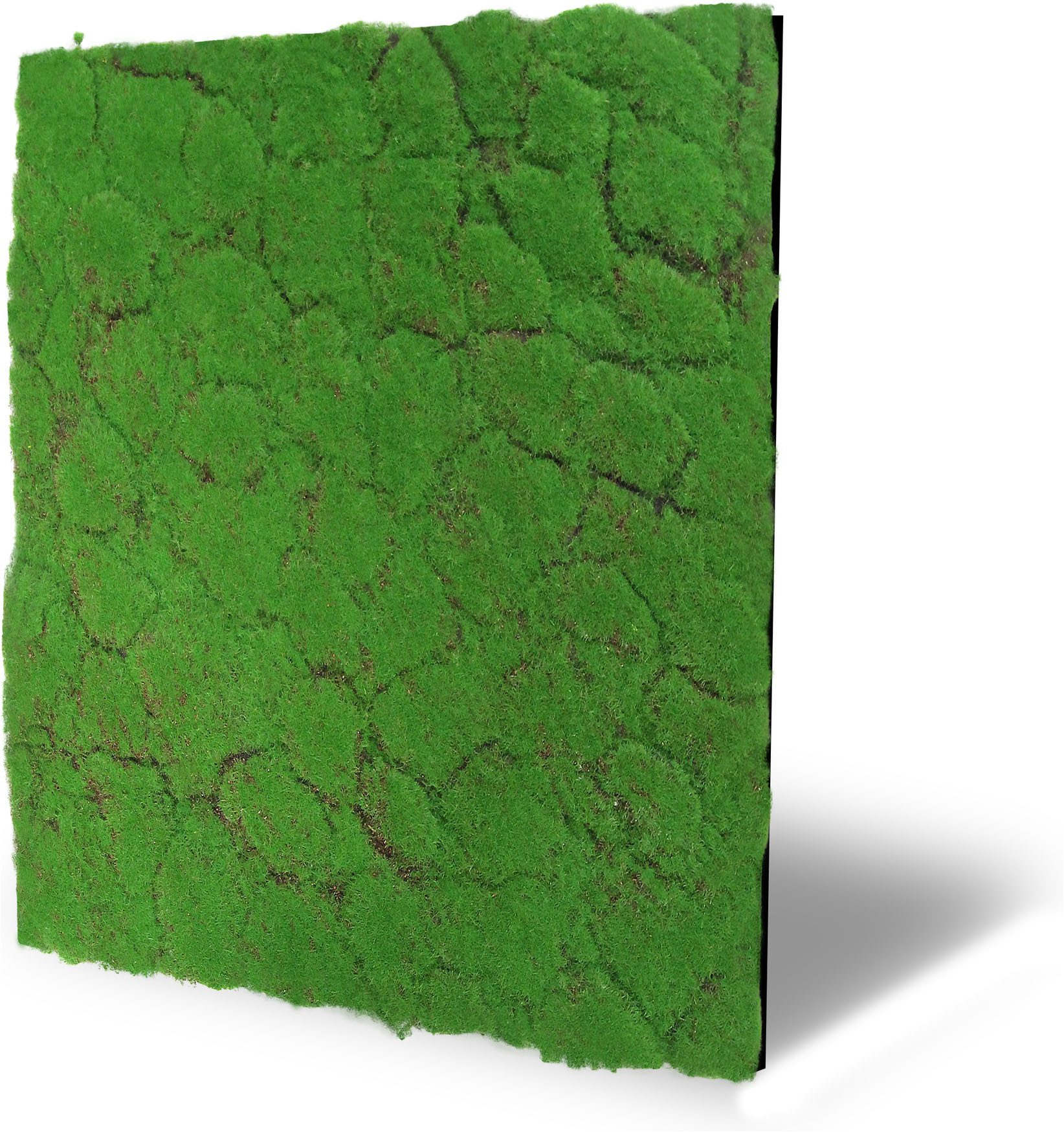 Architects Paper Wandpaneel A.S. Création Modular Wall Wandpaneel Moosoptik, BxL: 52x52 cm, (1-tlg) Pflegeleichte Moosoptik auf rPET-Filz für natürliche 3D-Wände