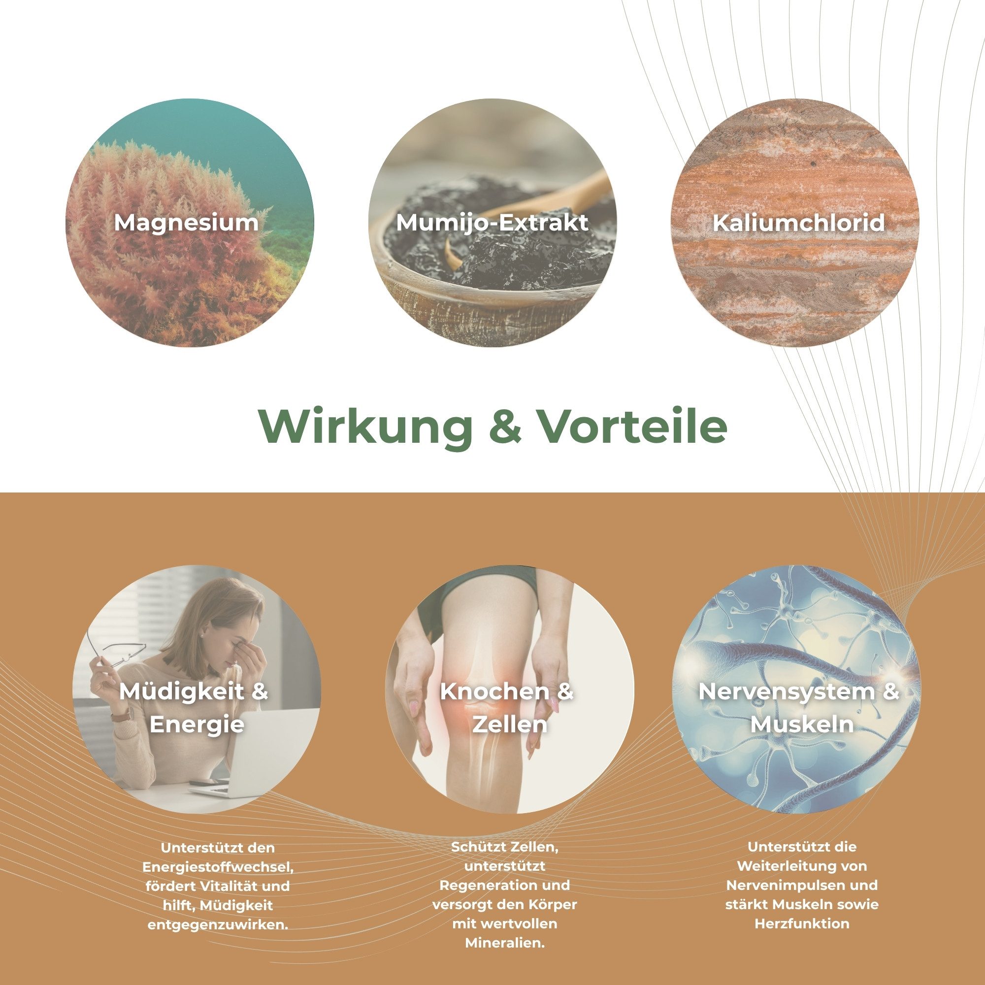 DeuVita Nahrungsergänzungsmittel Kapseln, 1 er 60 St., Hochwertiger Magnesium Aquamin™ Mg TG Kalium Komplex 60 Kapseln