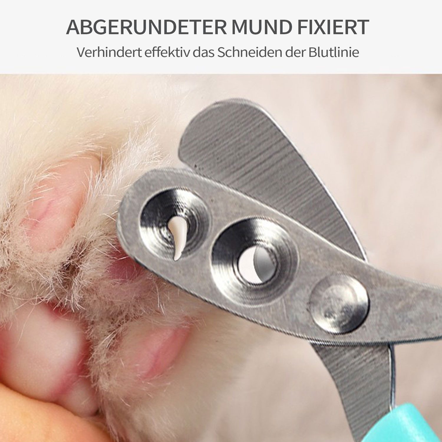 Refttenw Krallenschneider Katzennagelknipser, professioneller Krallenschneider, Doppeltes rundes Lochdesign