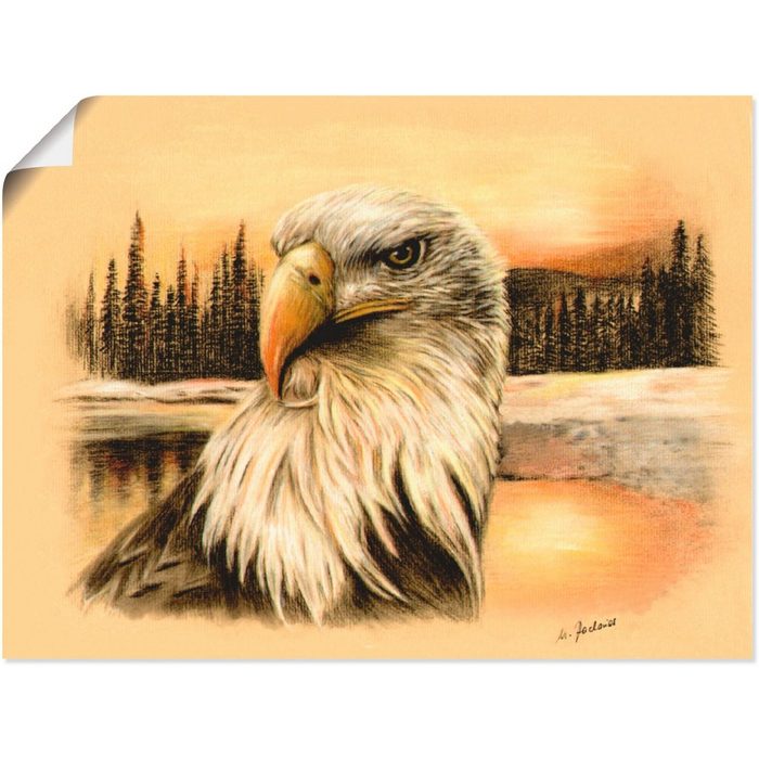 Artland Wandbild Weißkopfseeadler handgemalt Vögel (1 St) als Alubild Leinwandbild Wandaufkleber oder Poster in versch. Größen
