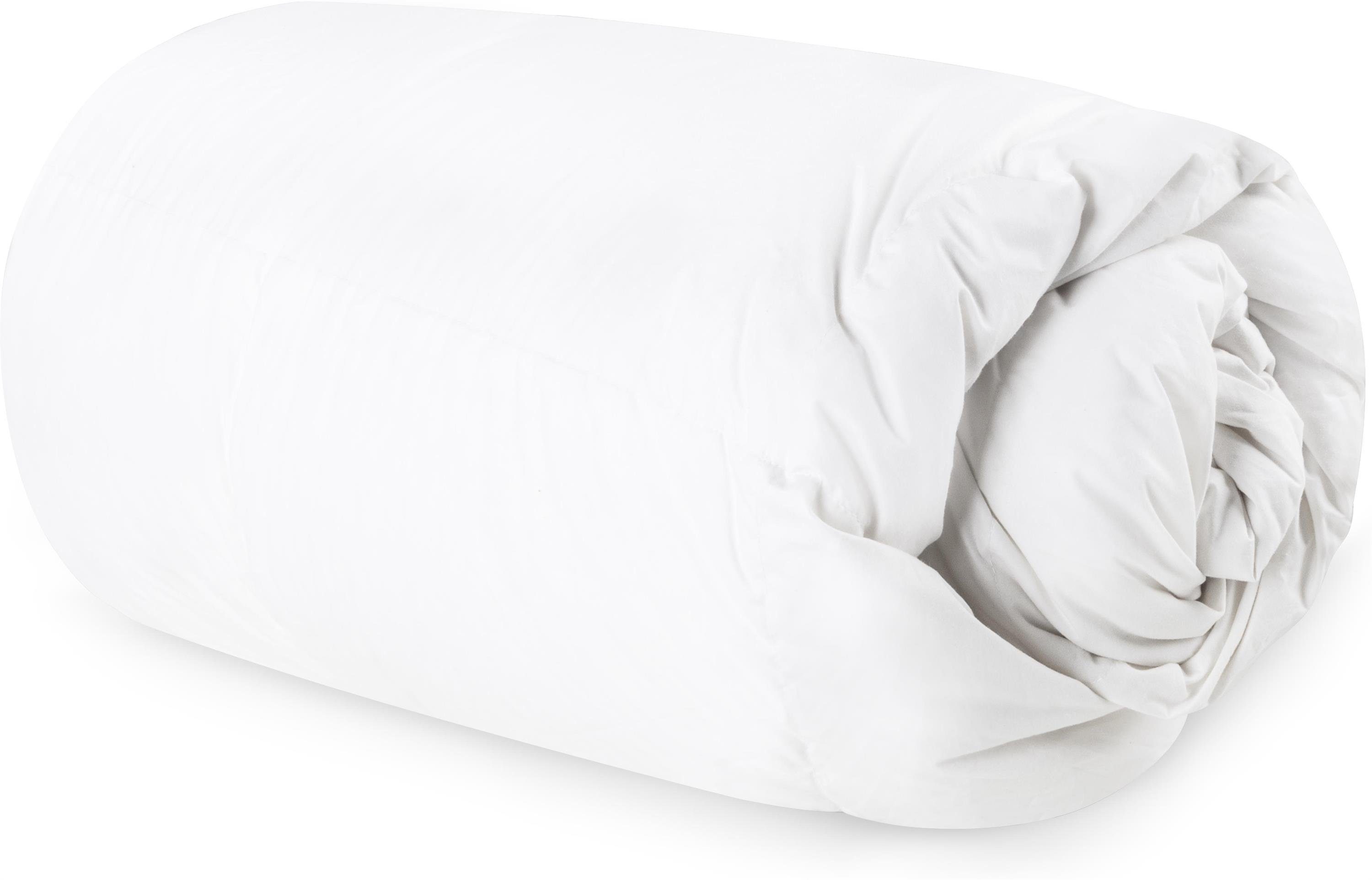 Aspero Daunenbettdecke Warme Daunendecke Visby, Füllung: 90 % Daunen, 10 % Feder, Steppdecke für Winter und Herbst