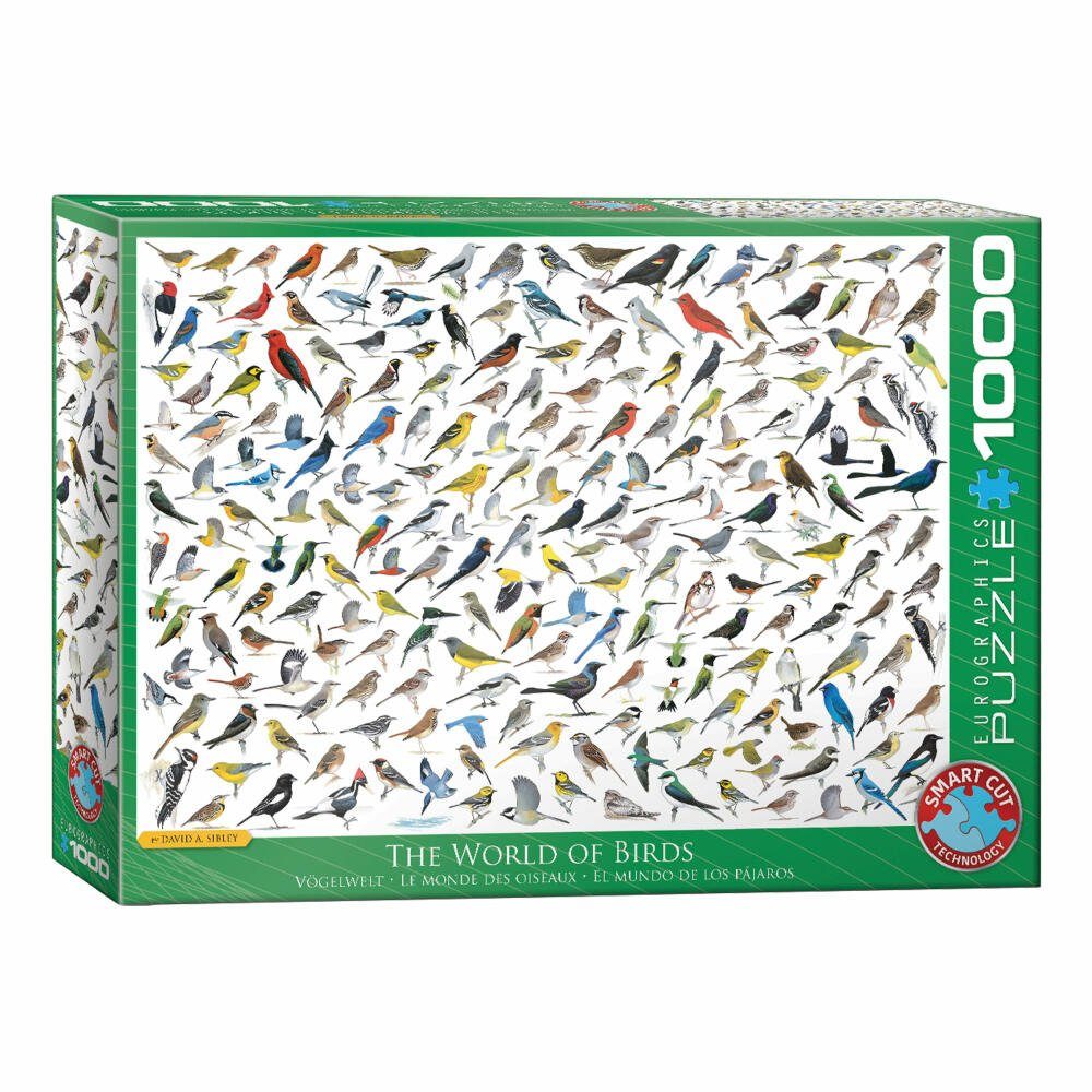 EUROGRAPHICS Puzzle Die Welt der Vögel, 1000 Puzzleteile