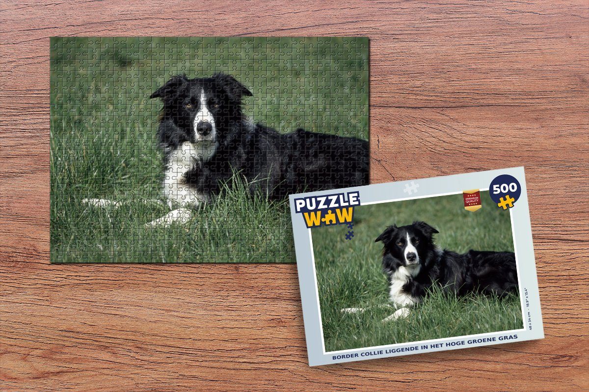 MuchoWow Puzzle Border Collie liegt im hohen grünen Gras, 500 Puzzleteile, Foto-Puzzle, Bilderrätsel, Puzzlespiele, Spielzeug