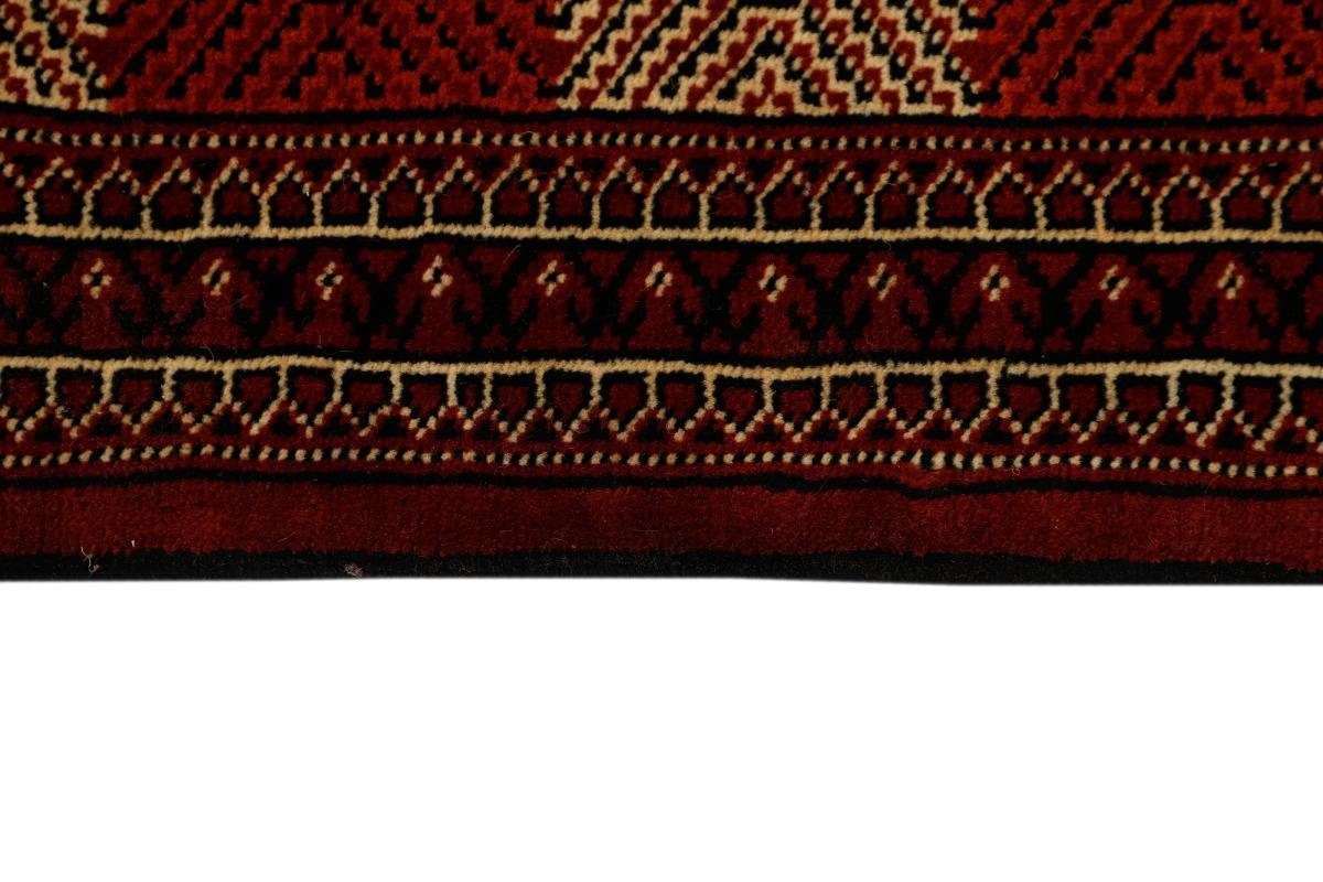 Orientteppich Turkaman 259x381 Handgeknüpfter Nain rechteckig, mm 6 Höhe: Orientteppich Trading, / Perserteppich