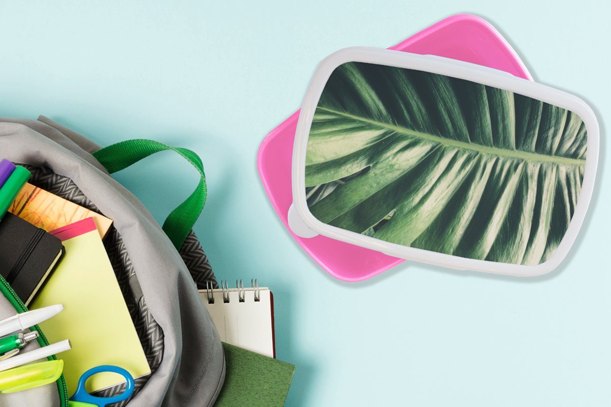 Tropisch (2-tlg), Dschungel, - Kinder, - Erwachsene, für Lunchbox MuchoWow Kunststoff, Snackbox, rosa Brotbox Brotdose Kunststoff Blätter Mädchen,