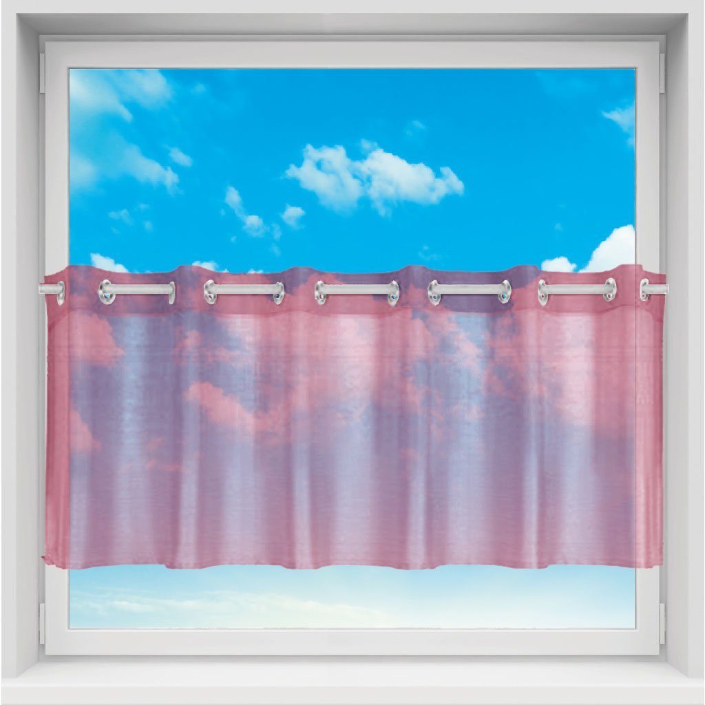 Bestgoodies Vorhang, Ösen (1 St), transparent, günstig online kaufen