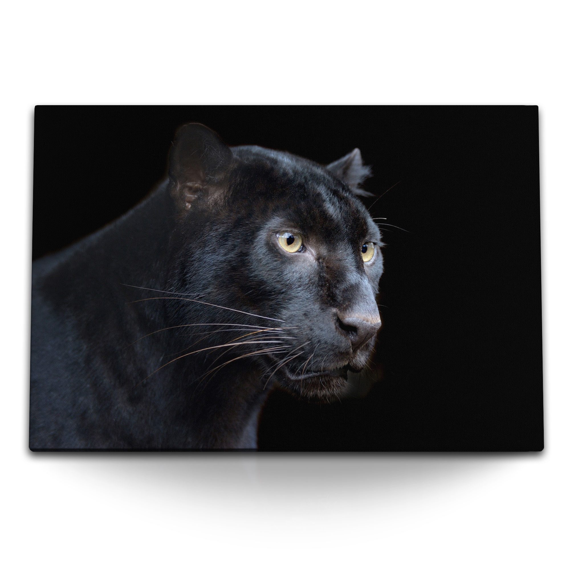 Leinwandbild 120x80cm Wandbild auf Leinwand Schwarzer Panther Raubkatze Tierfotogra