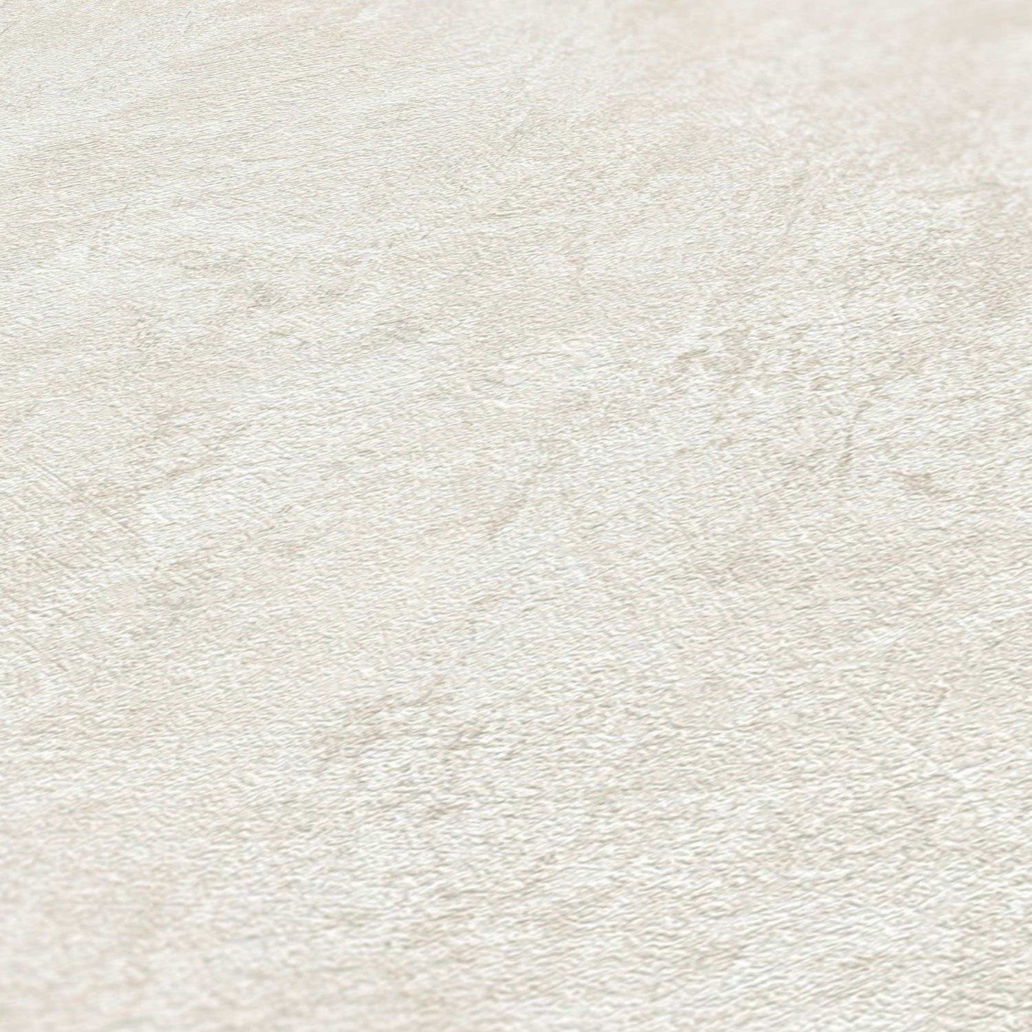 A.S. Création Vliestapete Natural Living Putzoptik, leicht strukturiert, gemustert, matt, neutral, (1 St), Strukturtapete PVC-Frei, skandinavisch, Flur