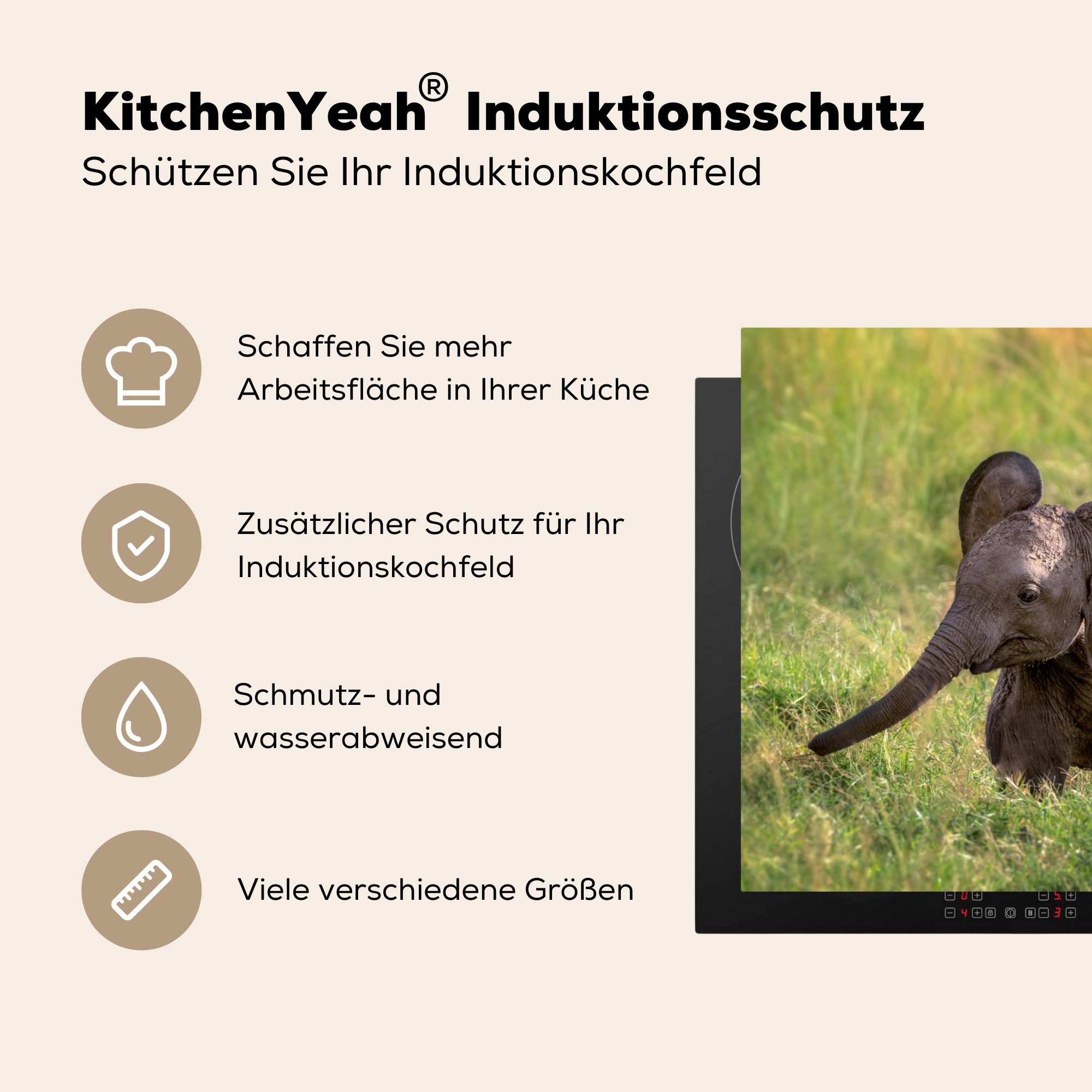 (1 Herdblende-/Abdeckplatte für 78x78 Vinyl, Elefant MuchoWow cm, Gras Tiere, - tlg), - küche Ceranfeldabdeckung, Arbeitsplatte