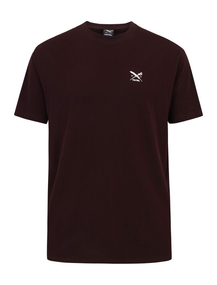 iriedaily T-Shirt Chestflag Tee