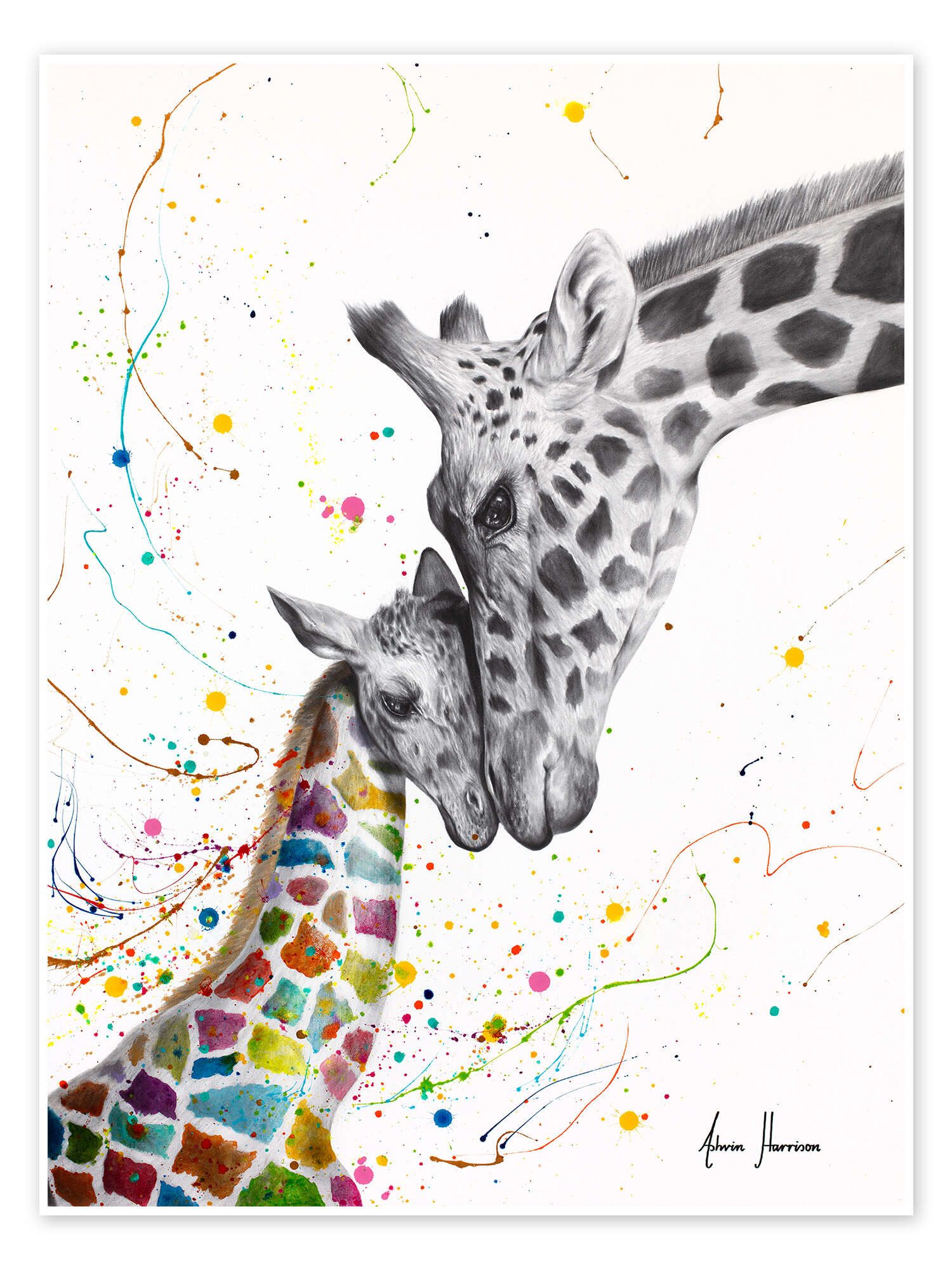Poster Ashvin Harrison