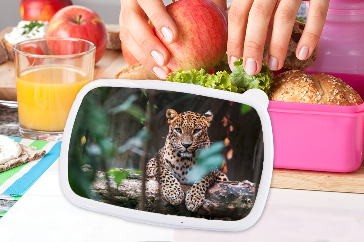 MuchoWow Kunststoff Tiere, - Lunchbox Dschungel Mädchen, Snackbox, Brotdose - Panther Kinder, rosa Erwachsene, Kunststoff, Brotbox für (2-tlg),