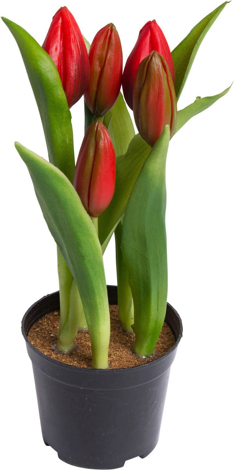 Kunstblume Tulpenpflanze mit 5 Knospen, my günstig online kaufen