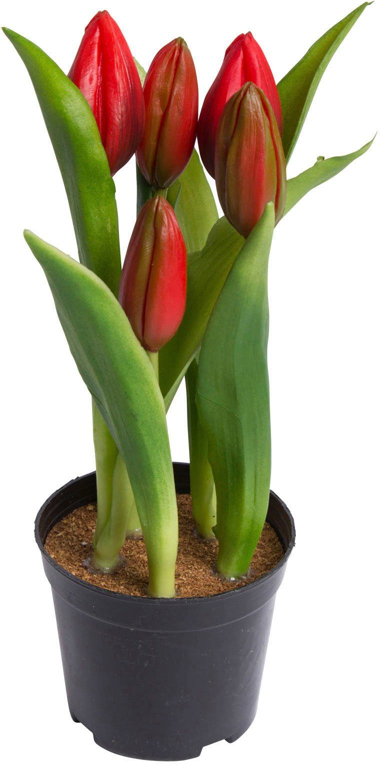 Kunstblume Tulpenpflanze mit 5 Knospen, my home, Höhe 23 cm