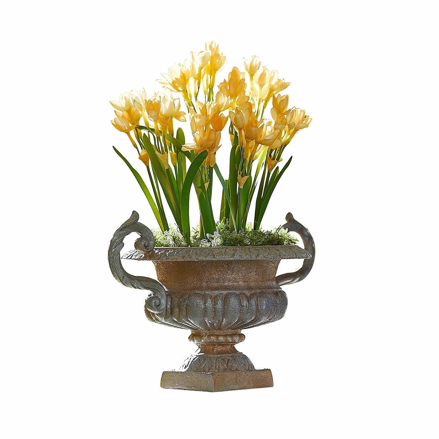 Mirabeau Übertopf Amphore Iverlon grau/antikbraun