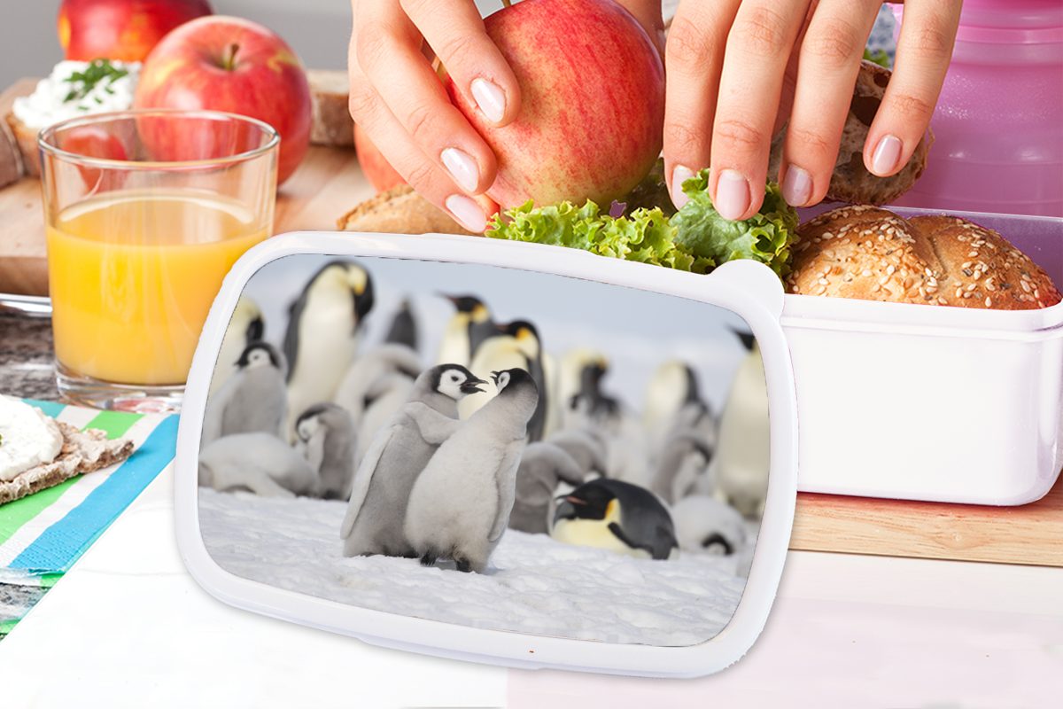 und Pinguine - und weiß Jungs (2-tlg), - Kunststoff, Lunchbox Schnee Mädchen Tiere, Brotdose, für Brotbox Kinder Erwachsene, MuchoWow für