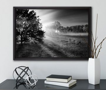 Pixxprint Leinwandbild schöne Lichtung im Wald, Wanddekoration (1 St), Leinwandbild fertig bespannt, in einem Schattenfugen-Bilderrahmen gefasst, inkl. Zackenaufhänger