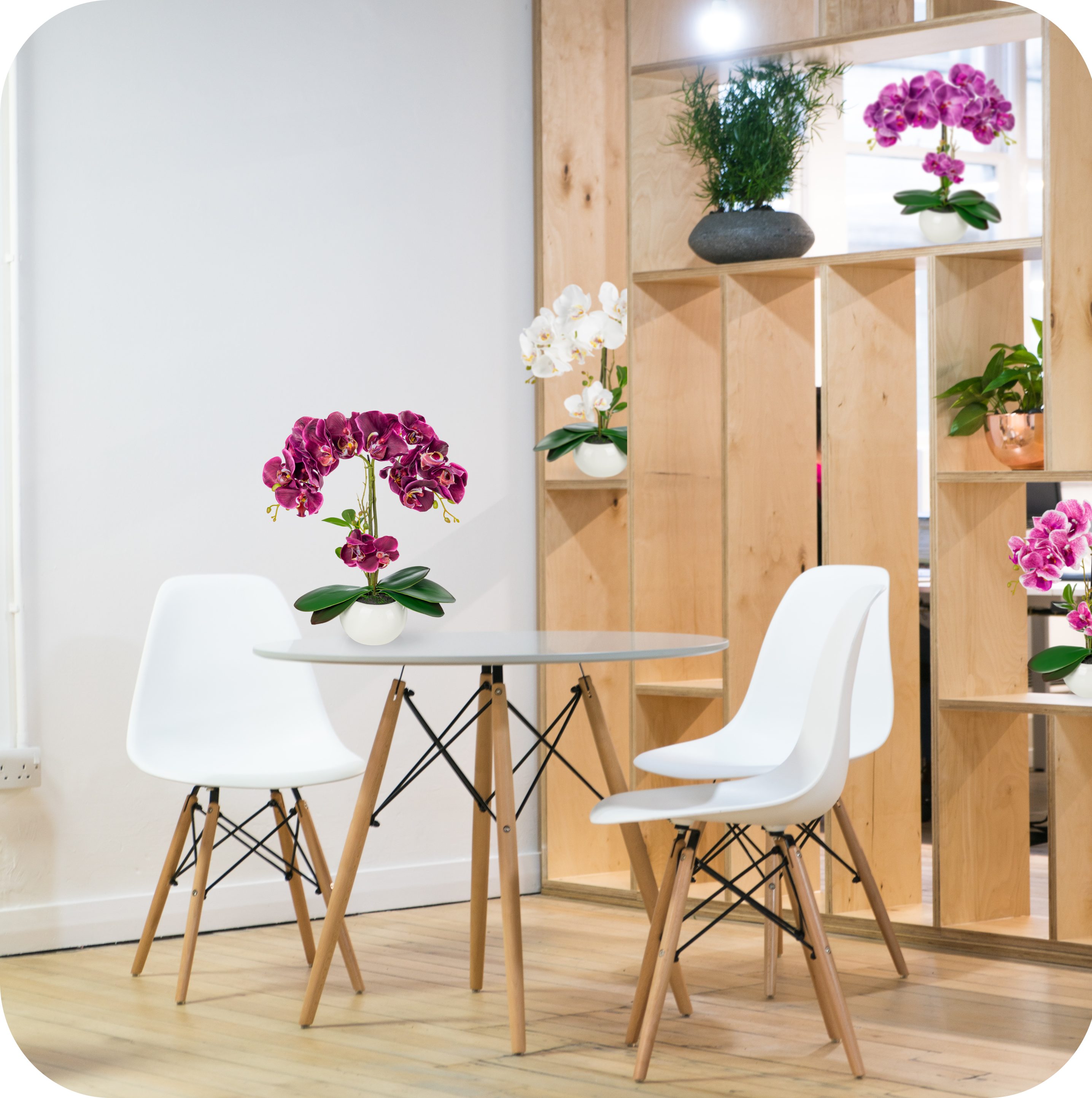 Kunstorchidee PASCH® Orchidee künstlich wie echt (40cm) in Hochglanz-Keramiktopf Orchidee, PASCH – Bild 5 von 5