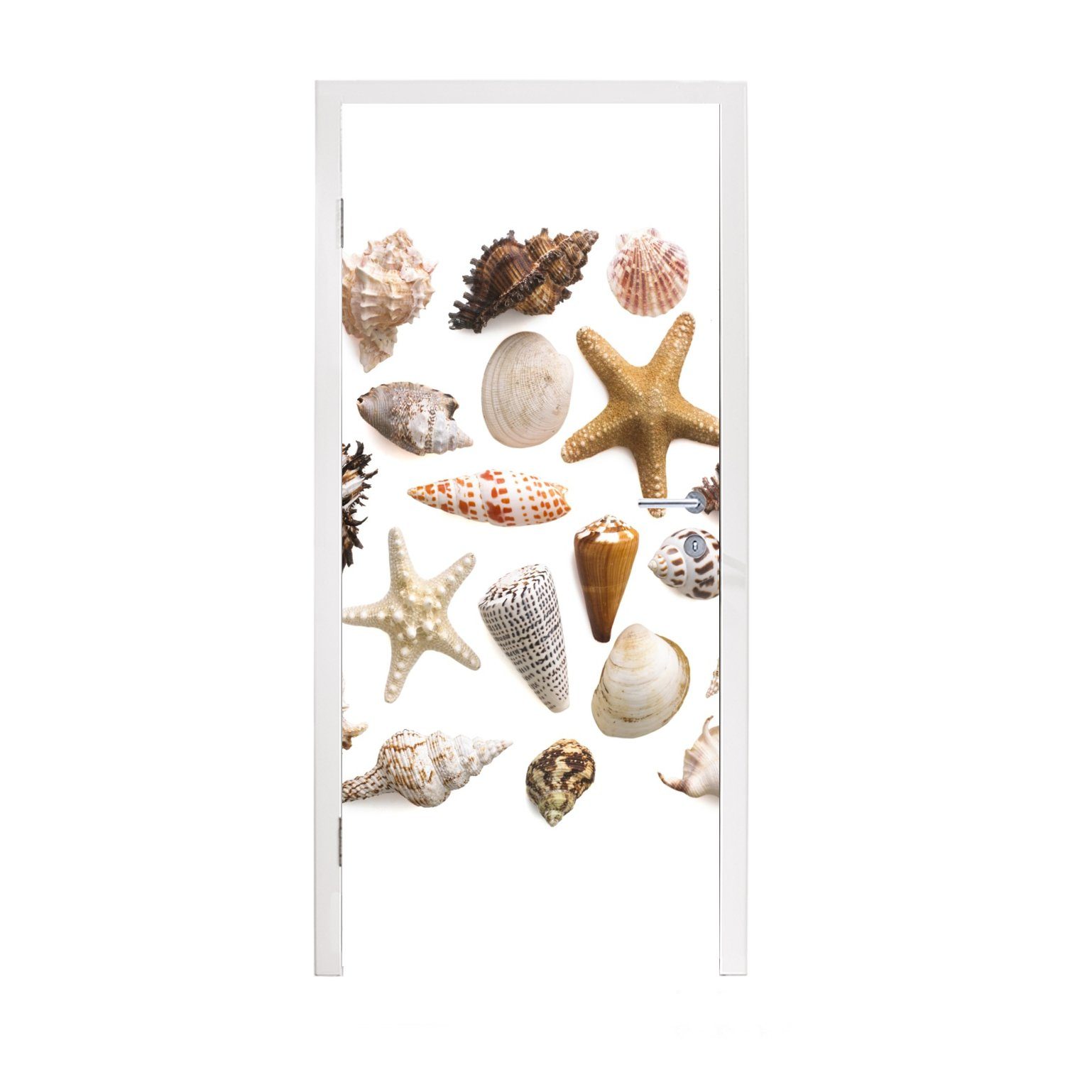 MuchoWow Türtapete Muschel - Seestern - Weiß, Matt, bedruckt, (1 St), Fototapete für Tür, Türaufkleber, 75x205 cm