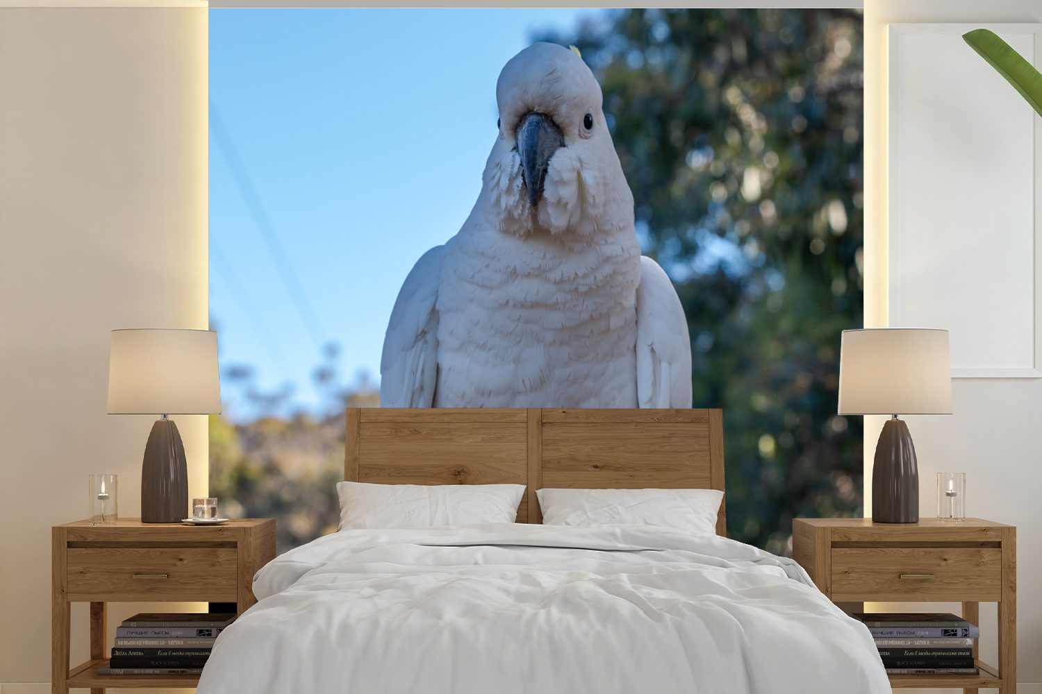 MuchoWow Fototapete Ein weißer Kakadu schaut direkt in die Kamera, Matt, bedruckt, (5 St), Vinyl Tapete für Wohnzimmer oder Schlafzimmer, Wandtapete