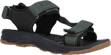 WHISTLER Zakim M Sandal Sandale