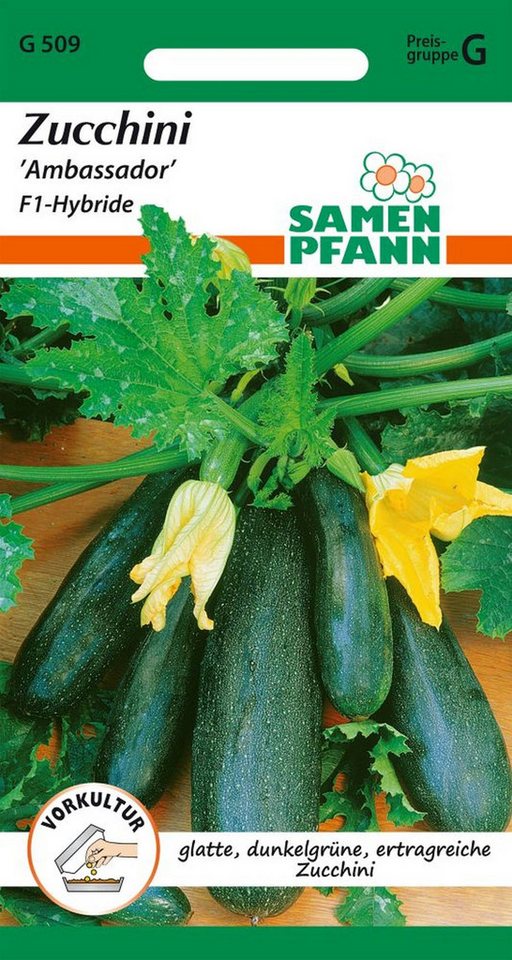 SAMEN PFANN Gemüsesamen Zucchini, Ambassador - Saatgut Zucchini-Samen Samen, Cucurbita pepo