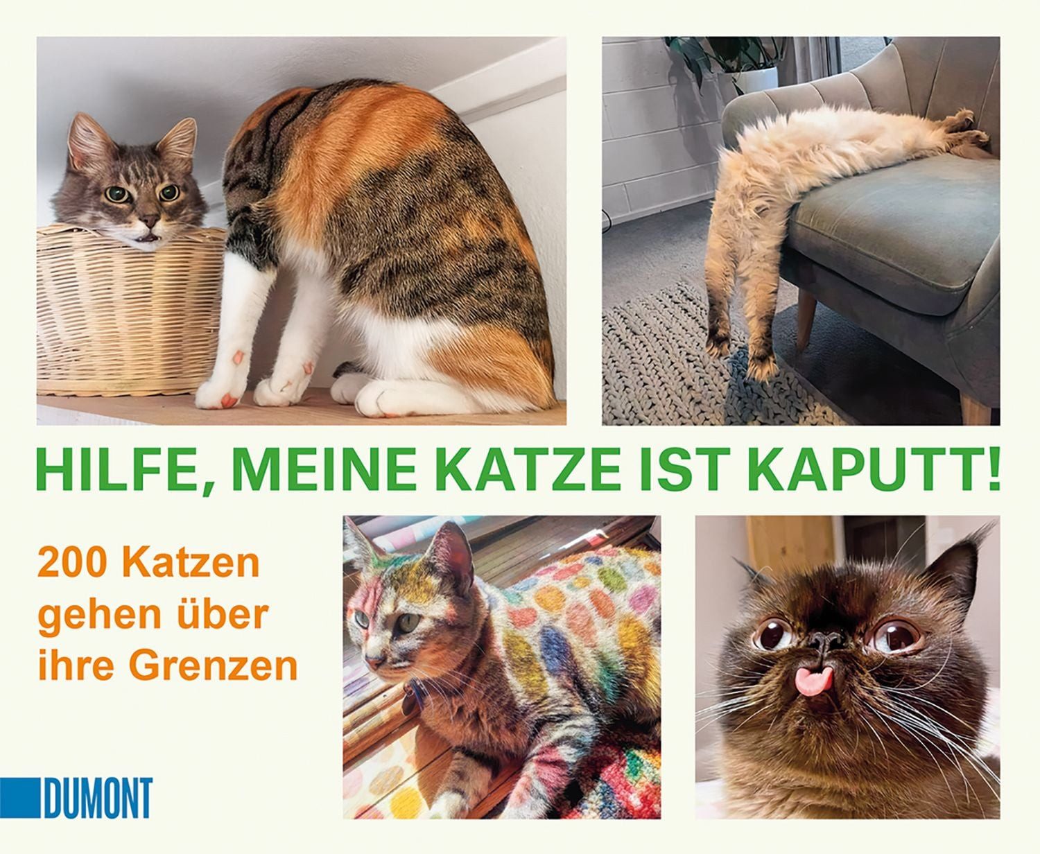 Hilfe, meine Katze ist kaputt / diverse